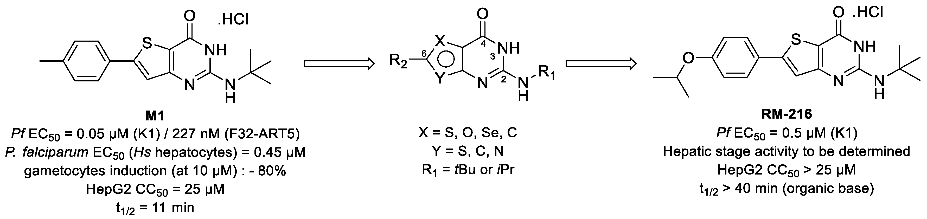 Pharmaceuticals 14 01278 g008