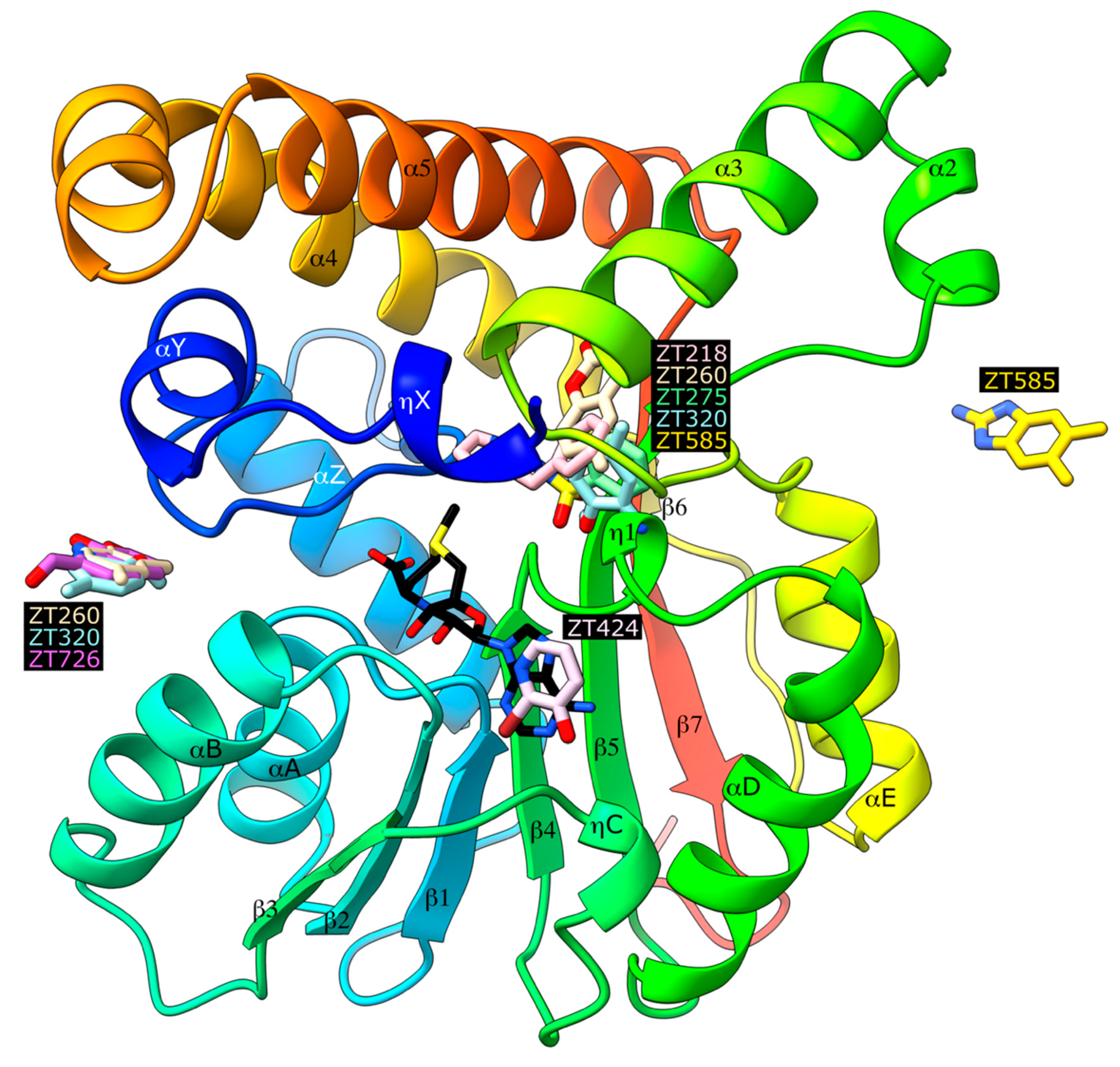Pharmaceuticals 14 01282 g002