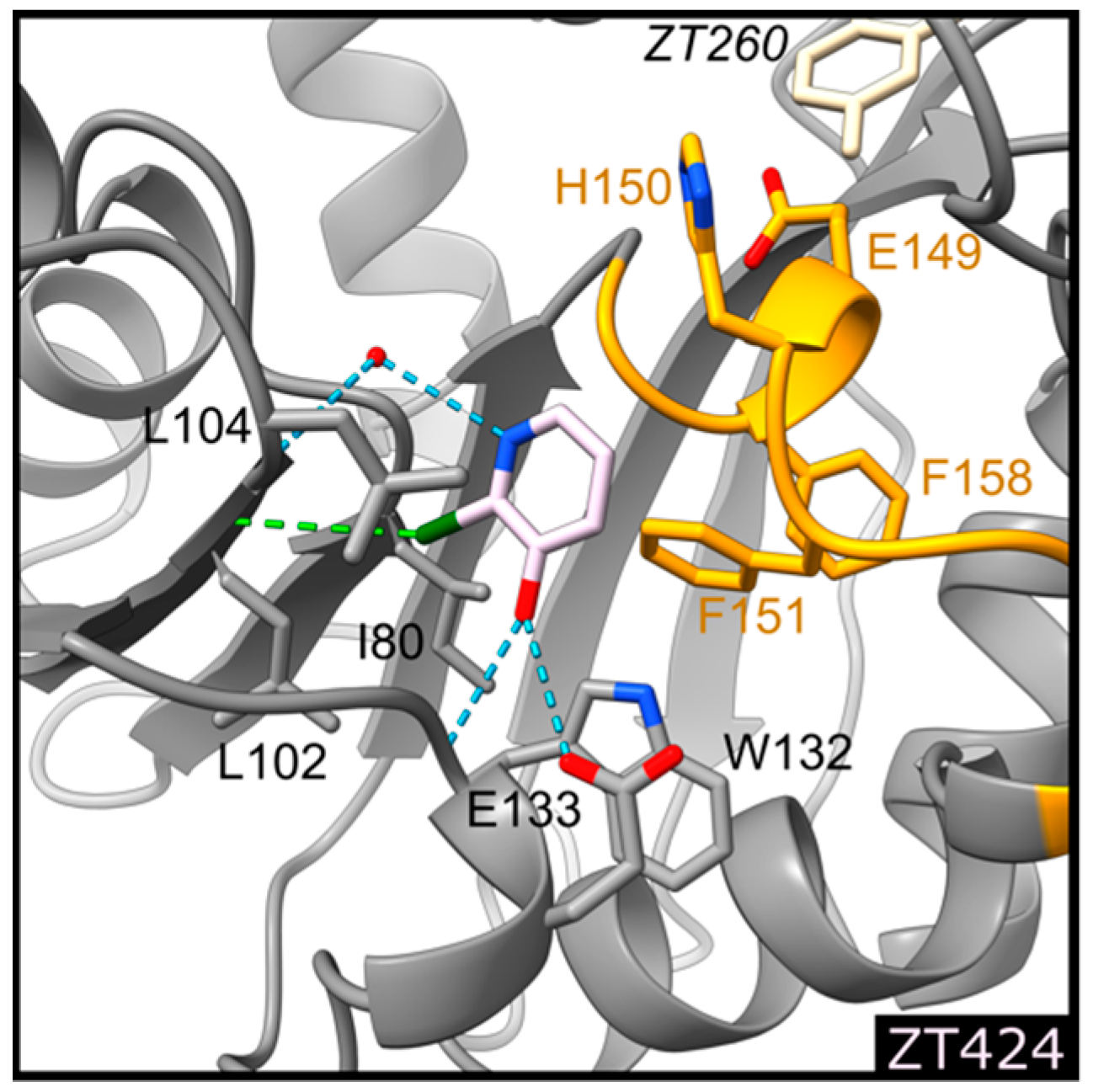 Pharmaceuticals 14 01282 g006
