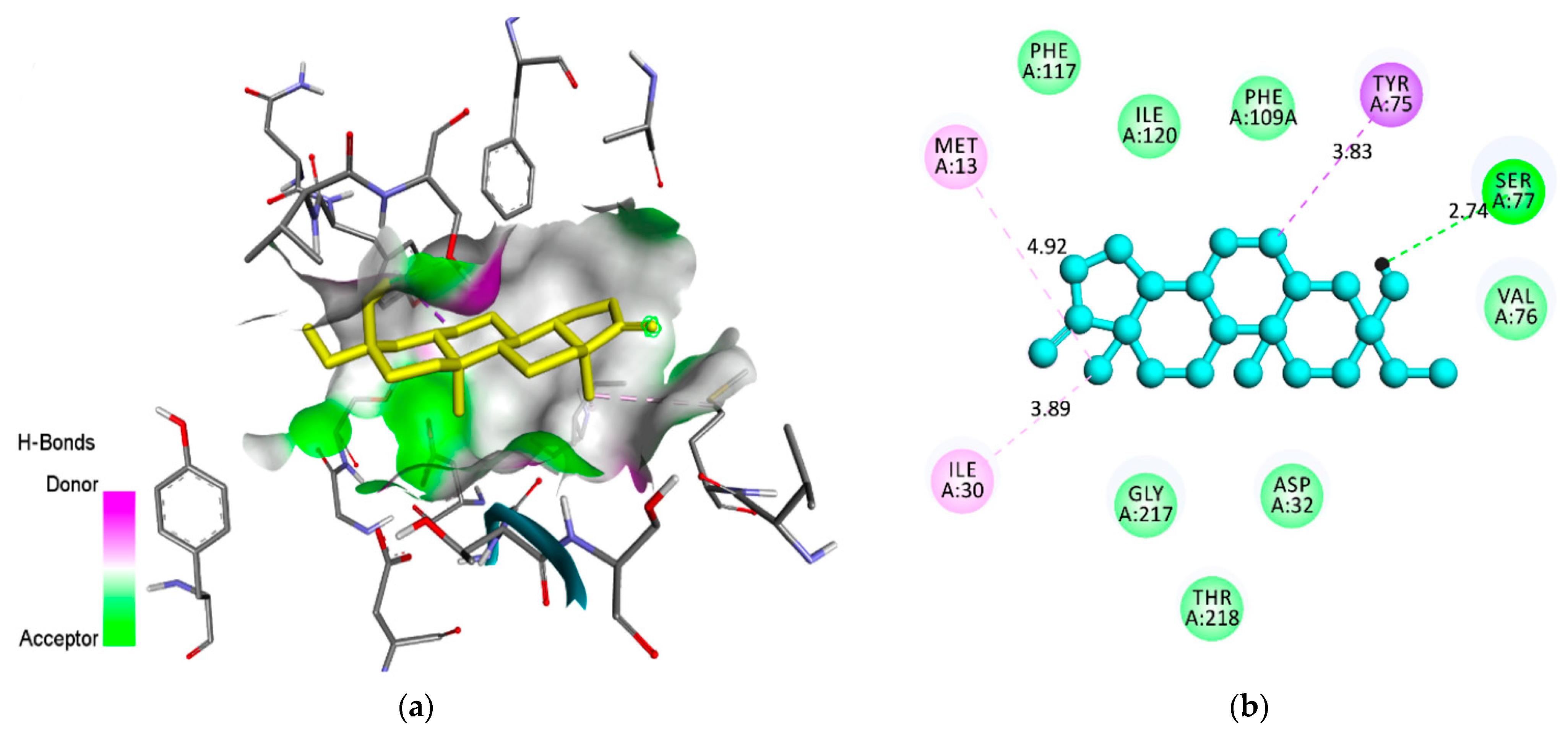 Pharmaceuticals 14 01285 g003