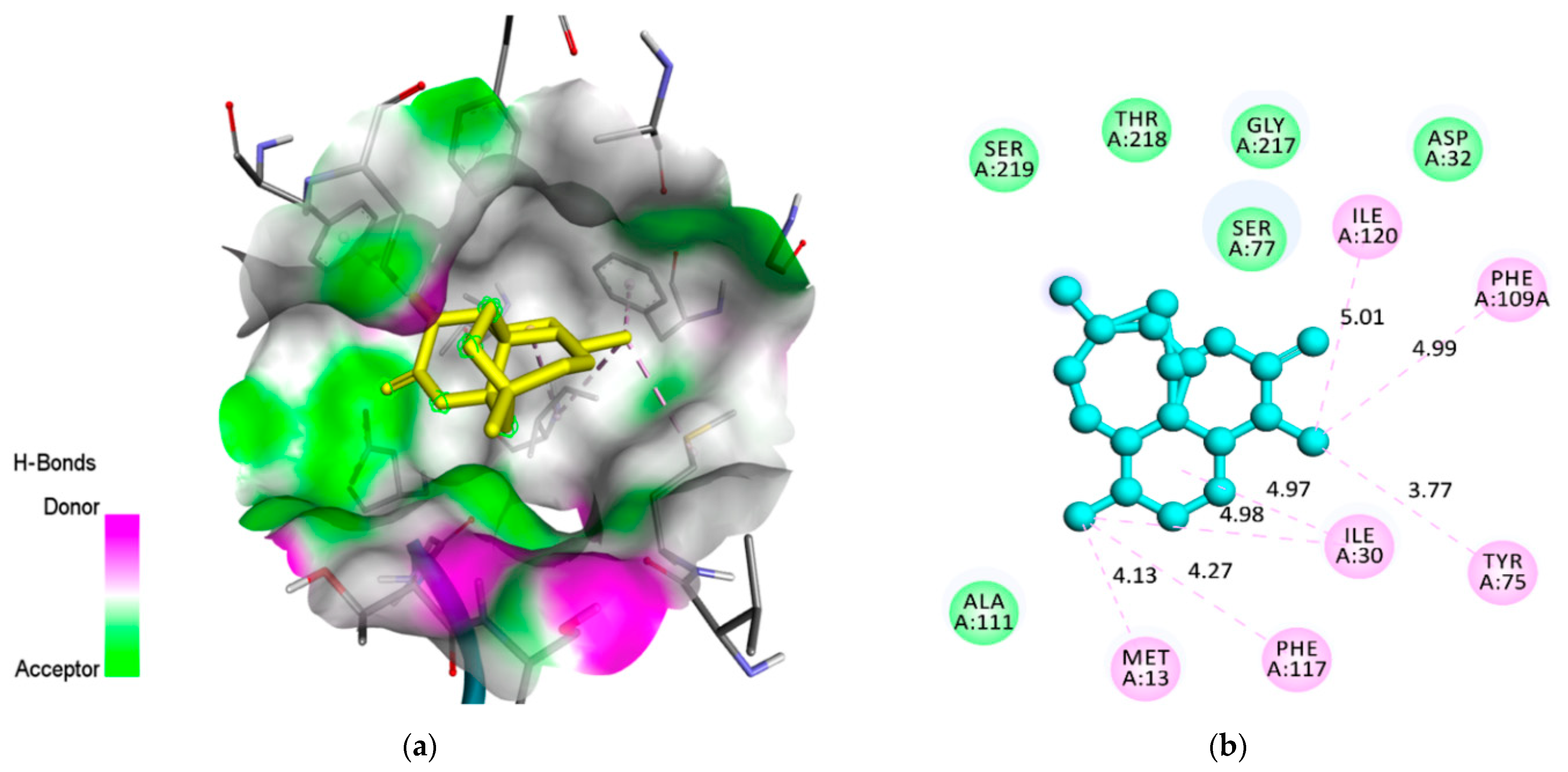 Pharmaceuticals 14 01285 g004