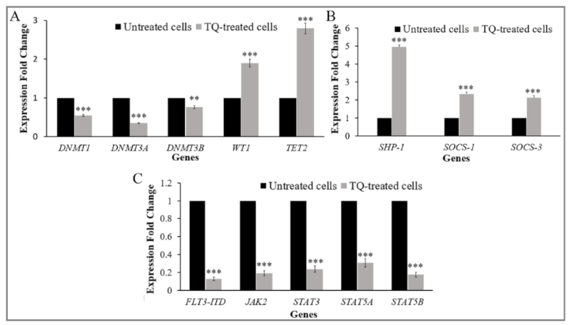 Pharmaceuticals 14 01287 g004