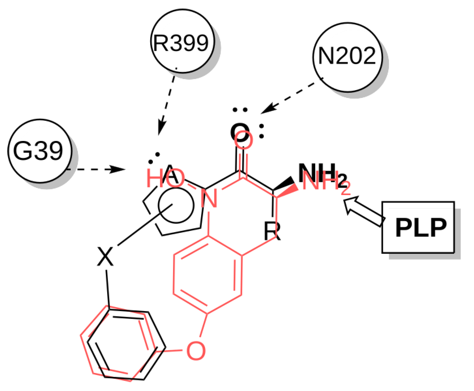 Pharmaceuticals 14 01291 g004