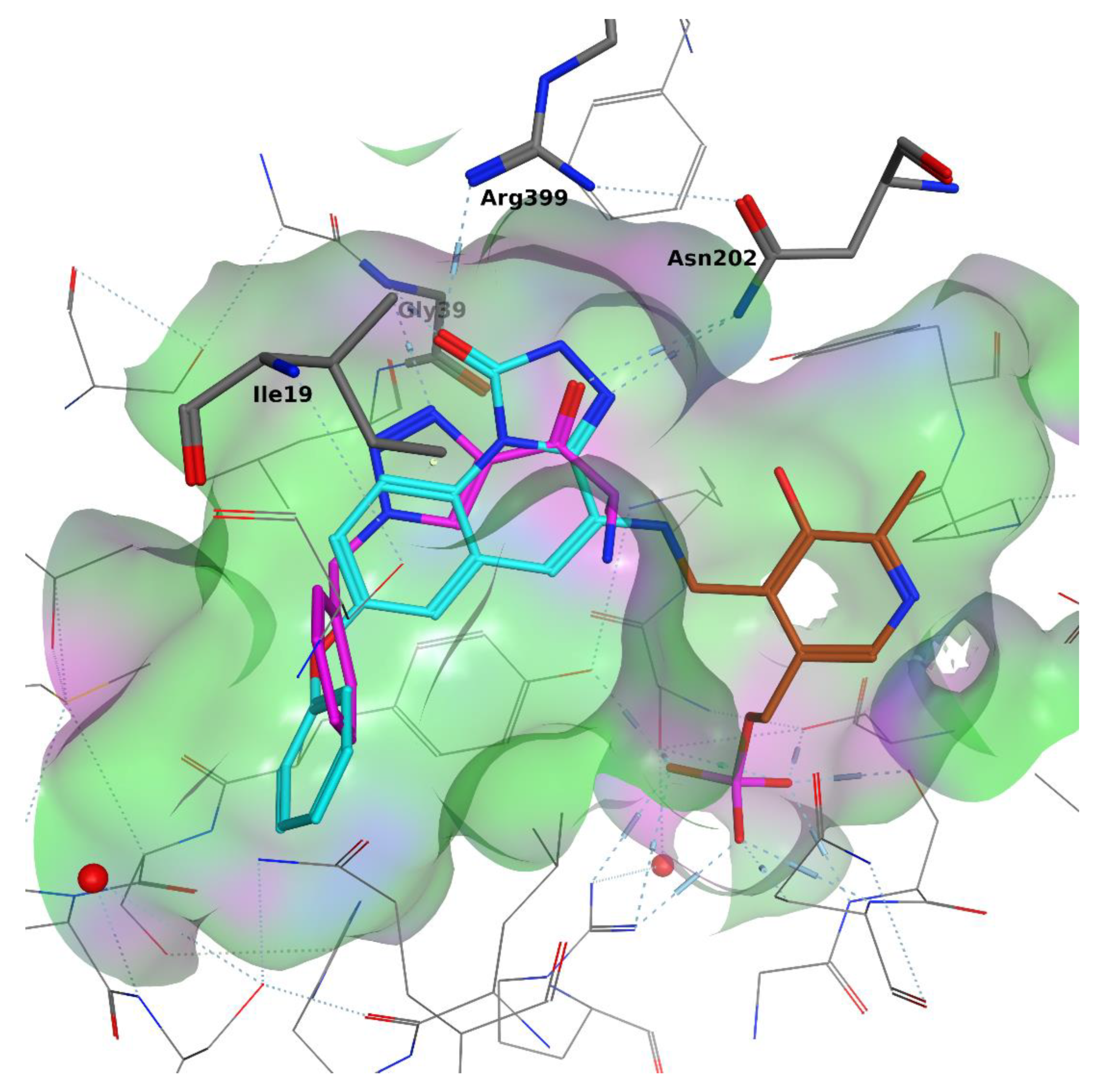 Pharmaceuticals 14 01291 g005