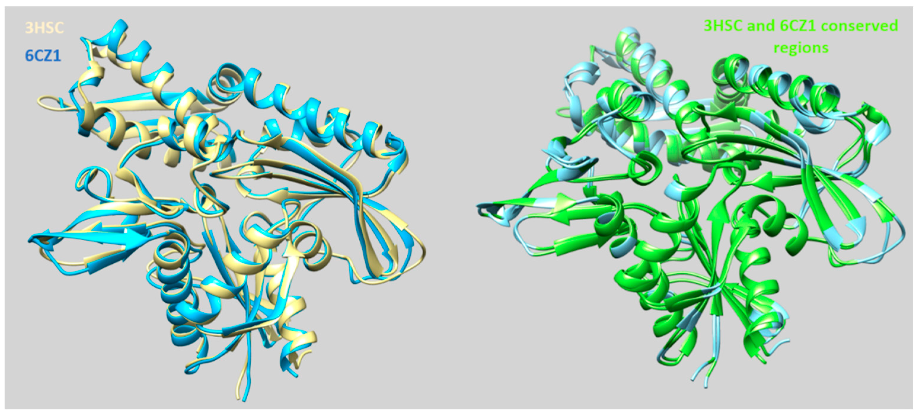 Pharmaceuticals 14 01296 g004