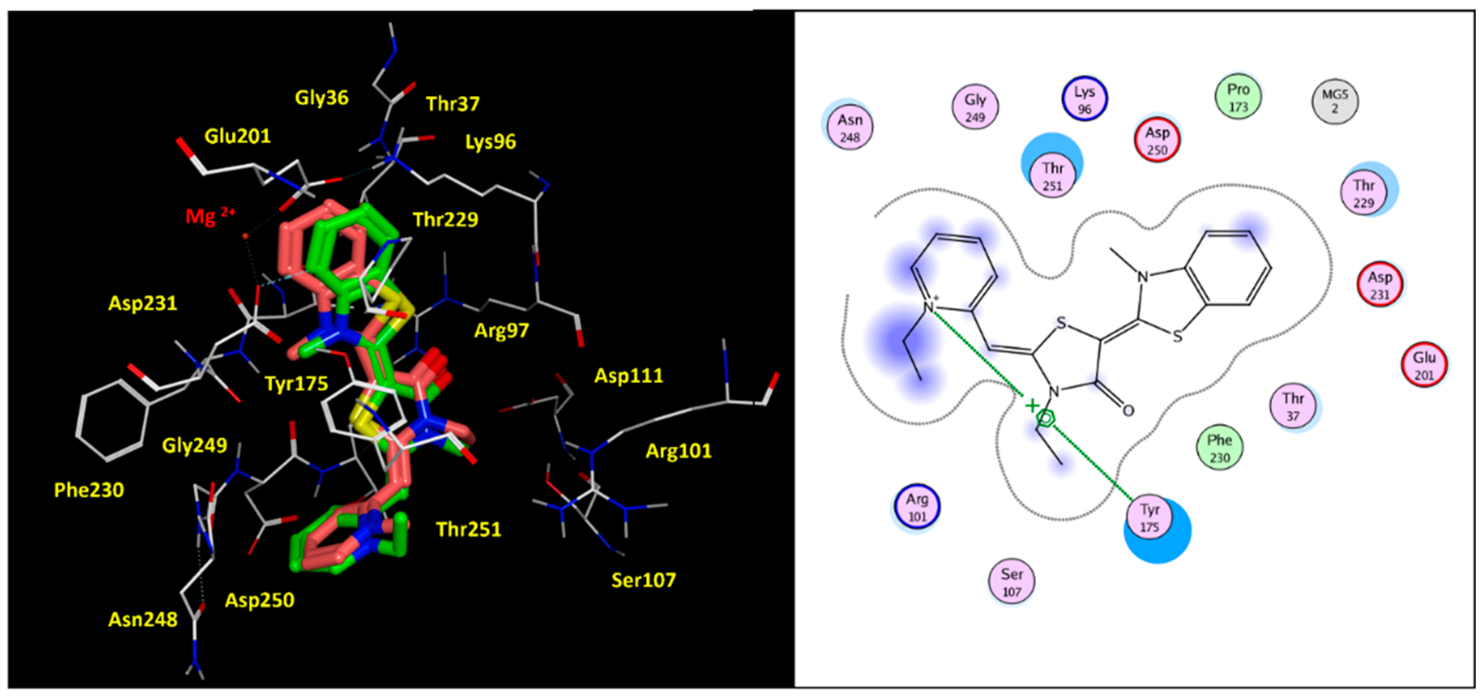 Pharmaceuticals 14 01296 g005