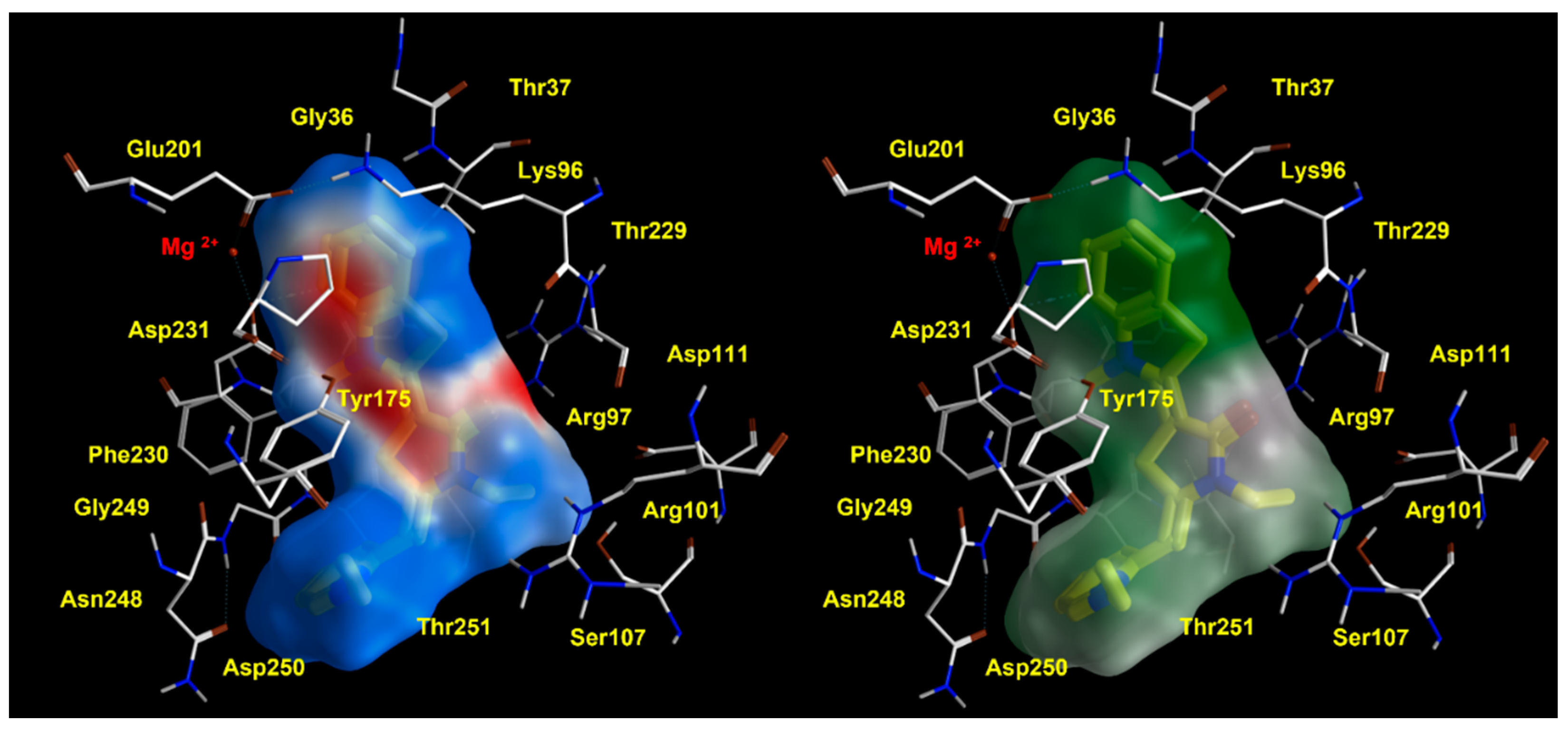 Pharmaceuticals 14 01296 g006