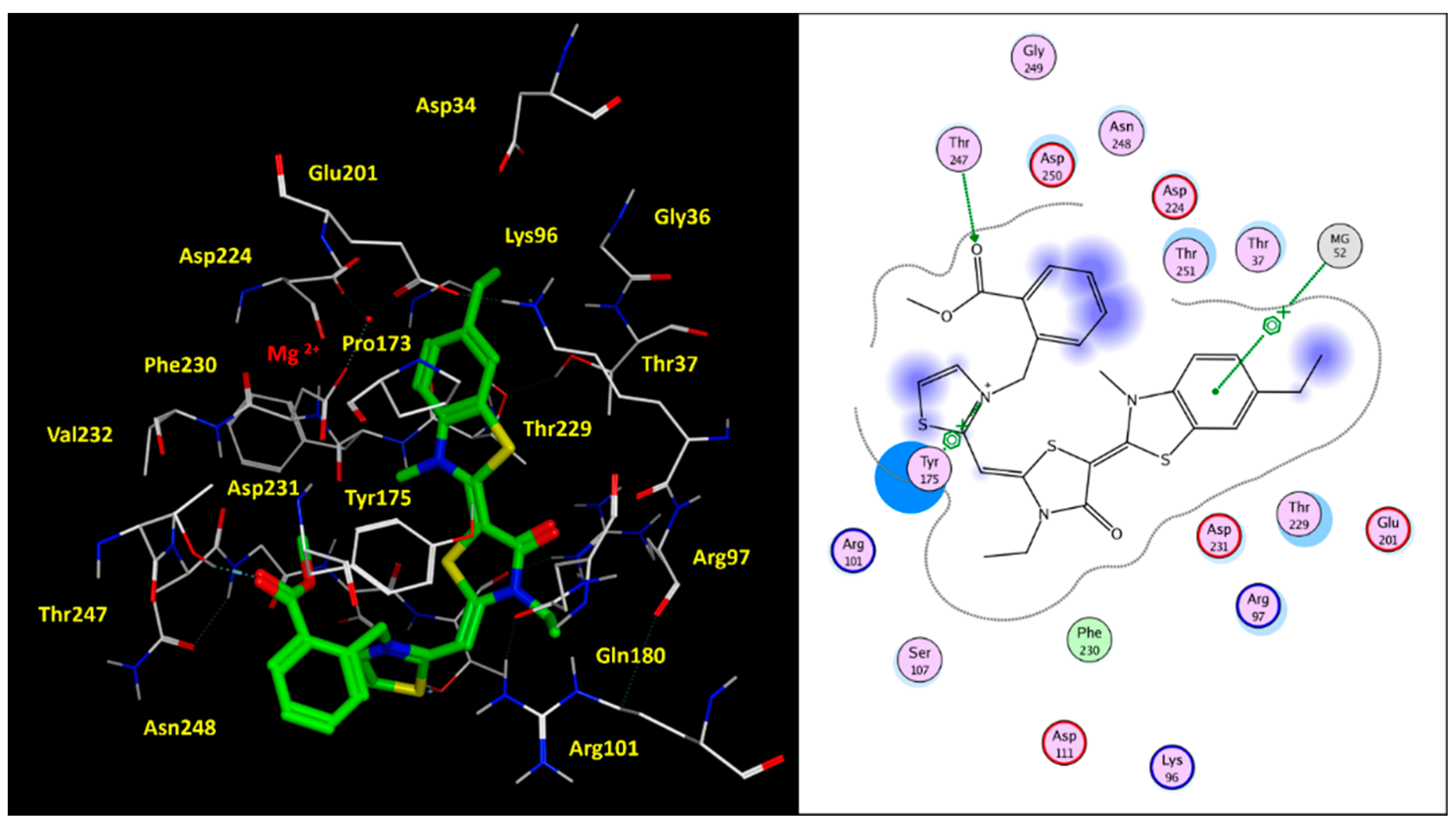 Pharmaceuticals 14 01296 g008