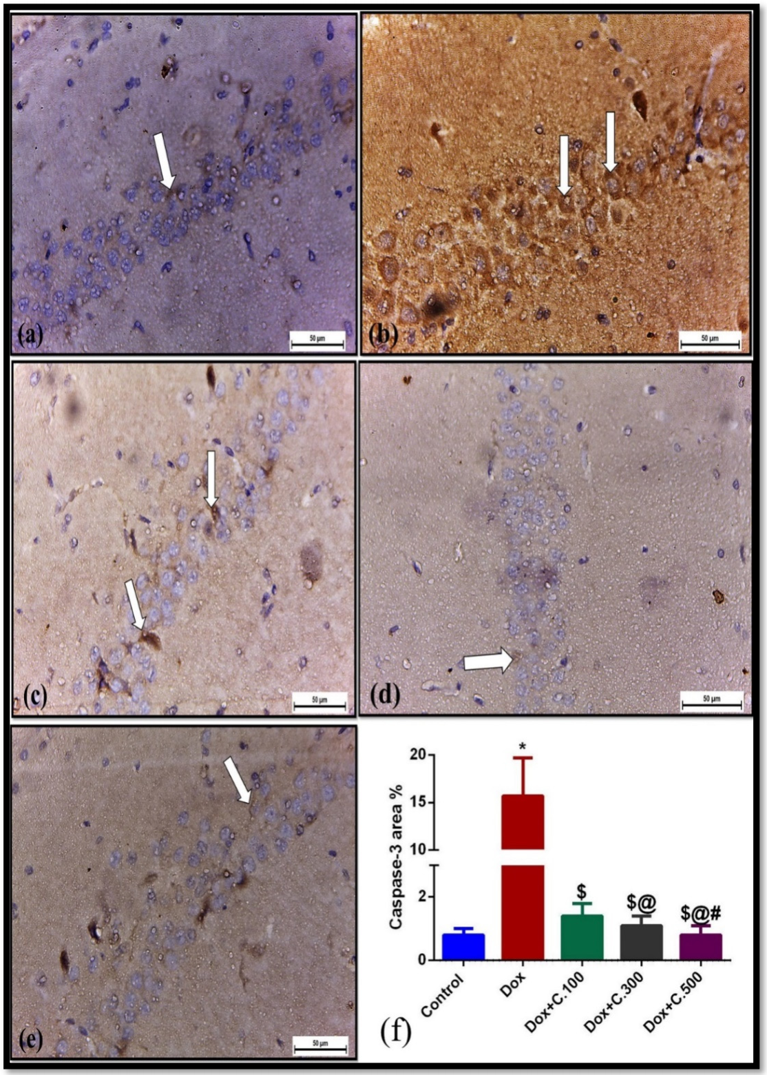 Pharmaceuticals 14 01305 g004