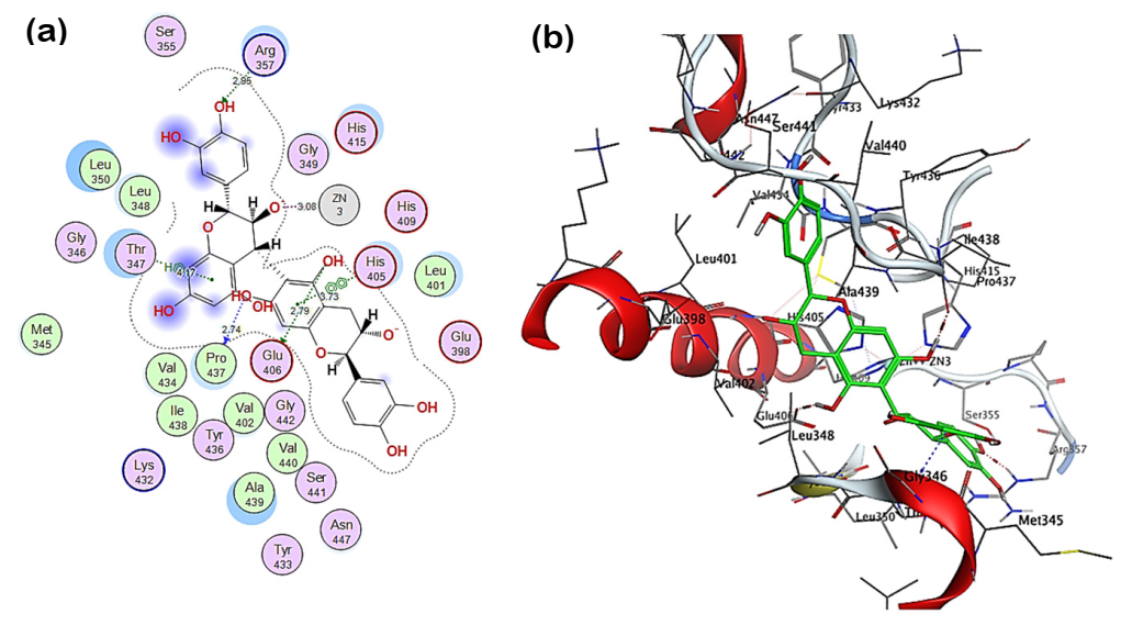 Pharmaceuticals 14 01305 g005