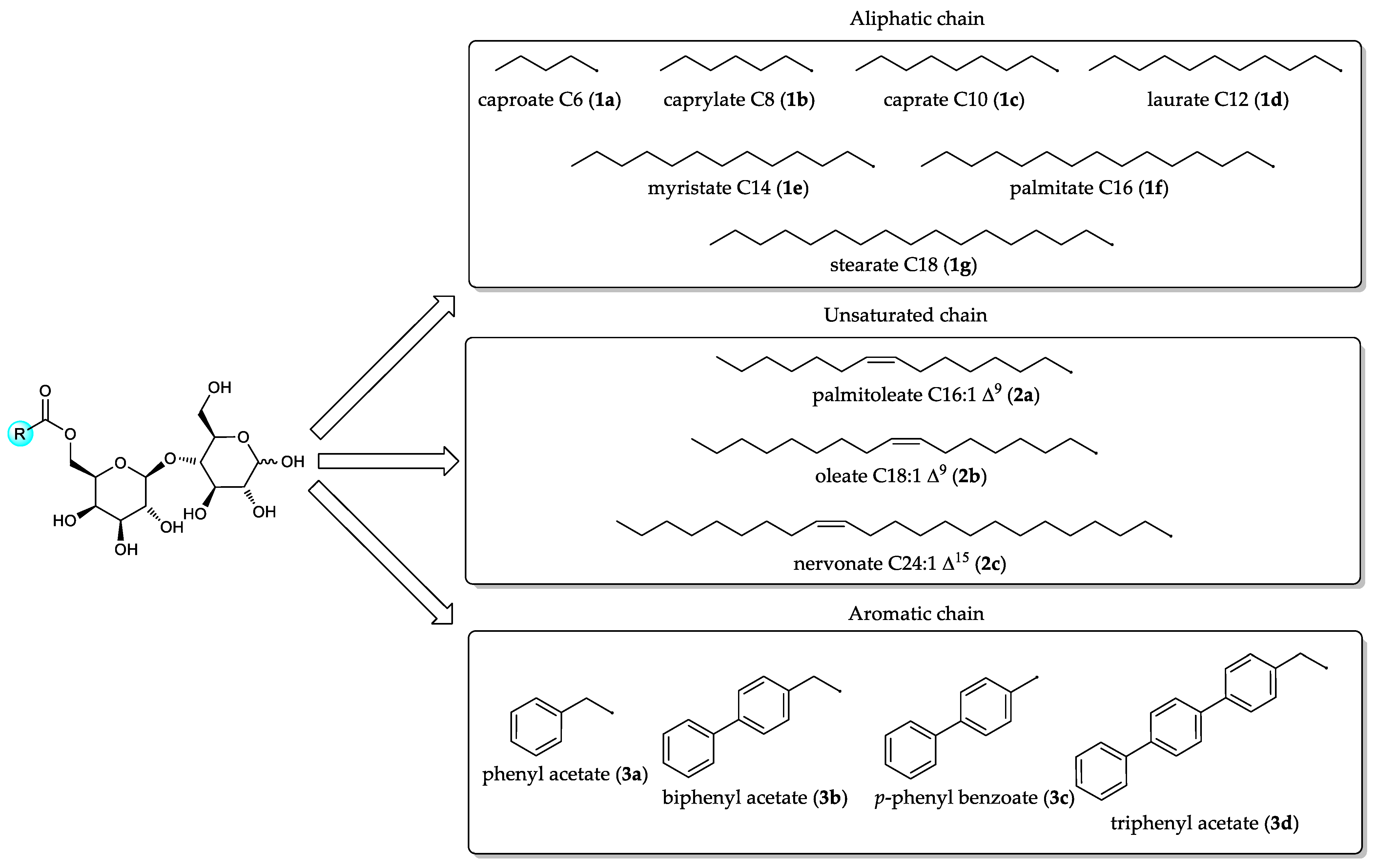 Pharmaceuticals 14 01306 g002