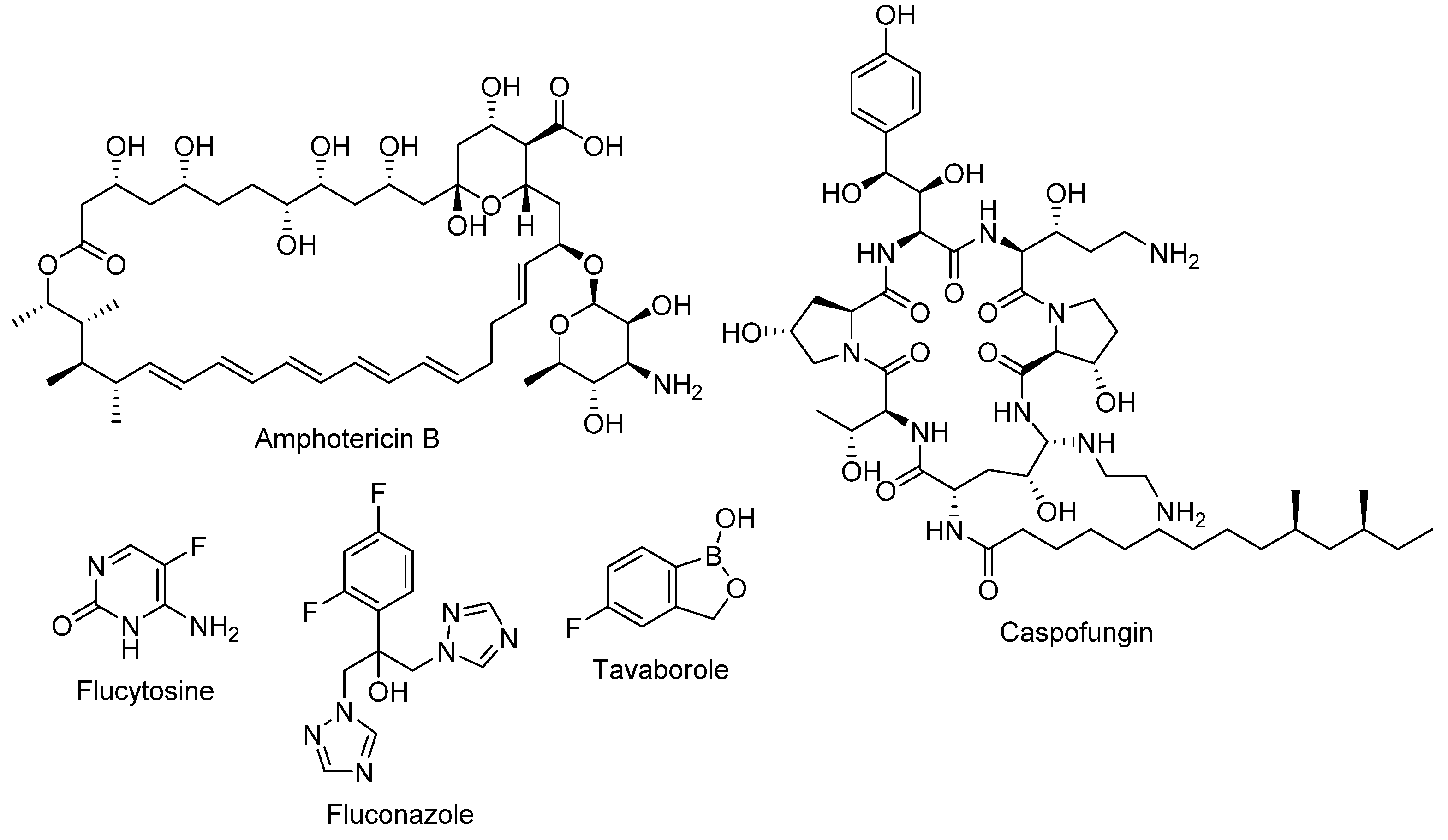 Pharmaceuticals 14 01312 g002