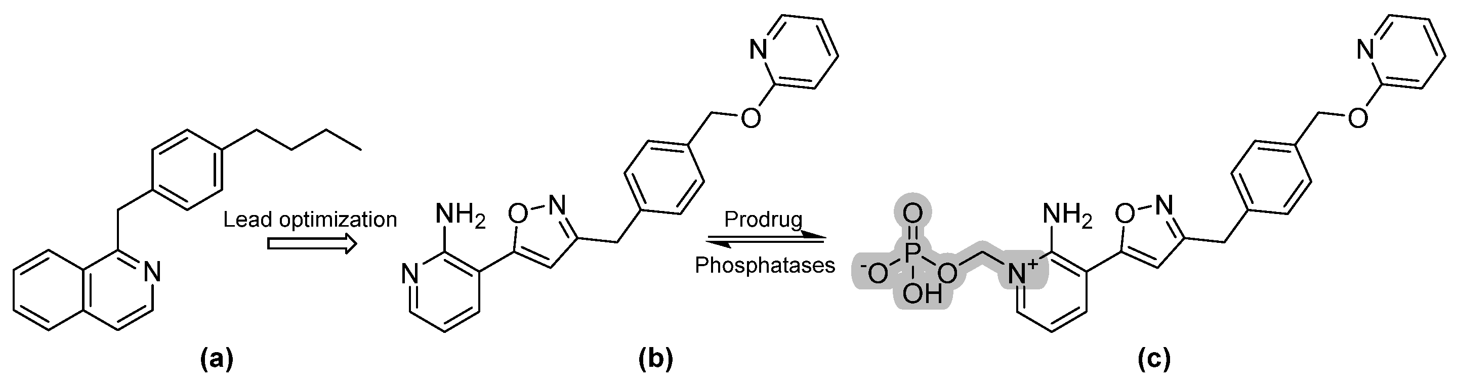 Pharmaceuticals 14 01312 g005