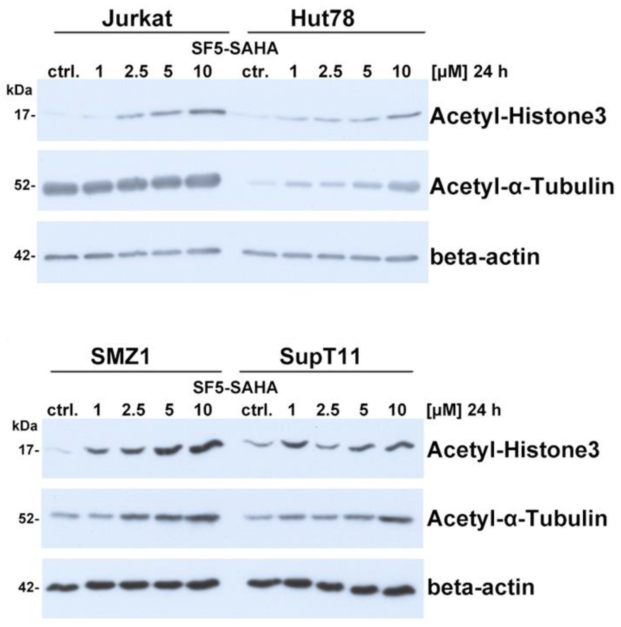 Pharmaceuticals 14 01319 g006