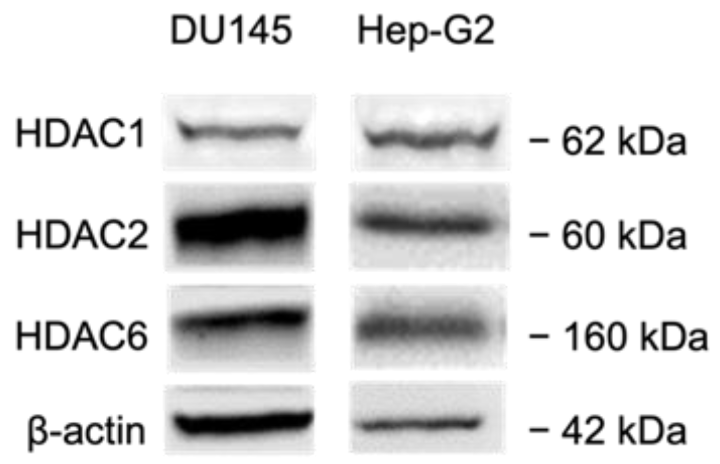 Pharmaceuticals 14 01319 g008