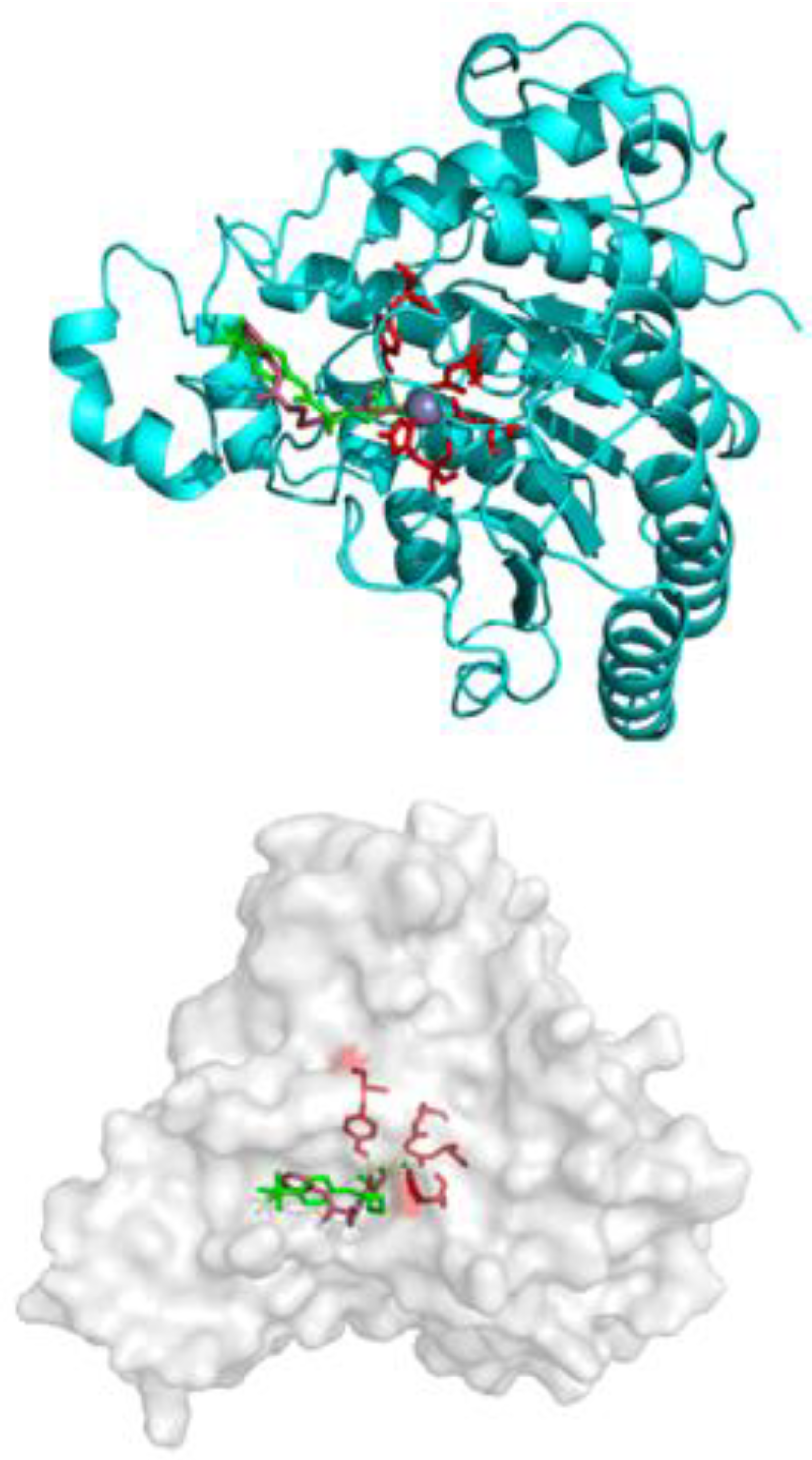 Pharmaceuticals 14 01319 g009