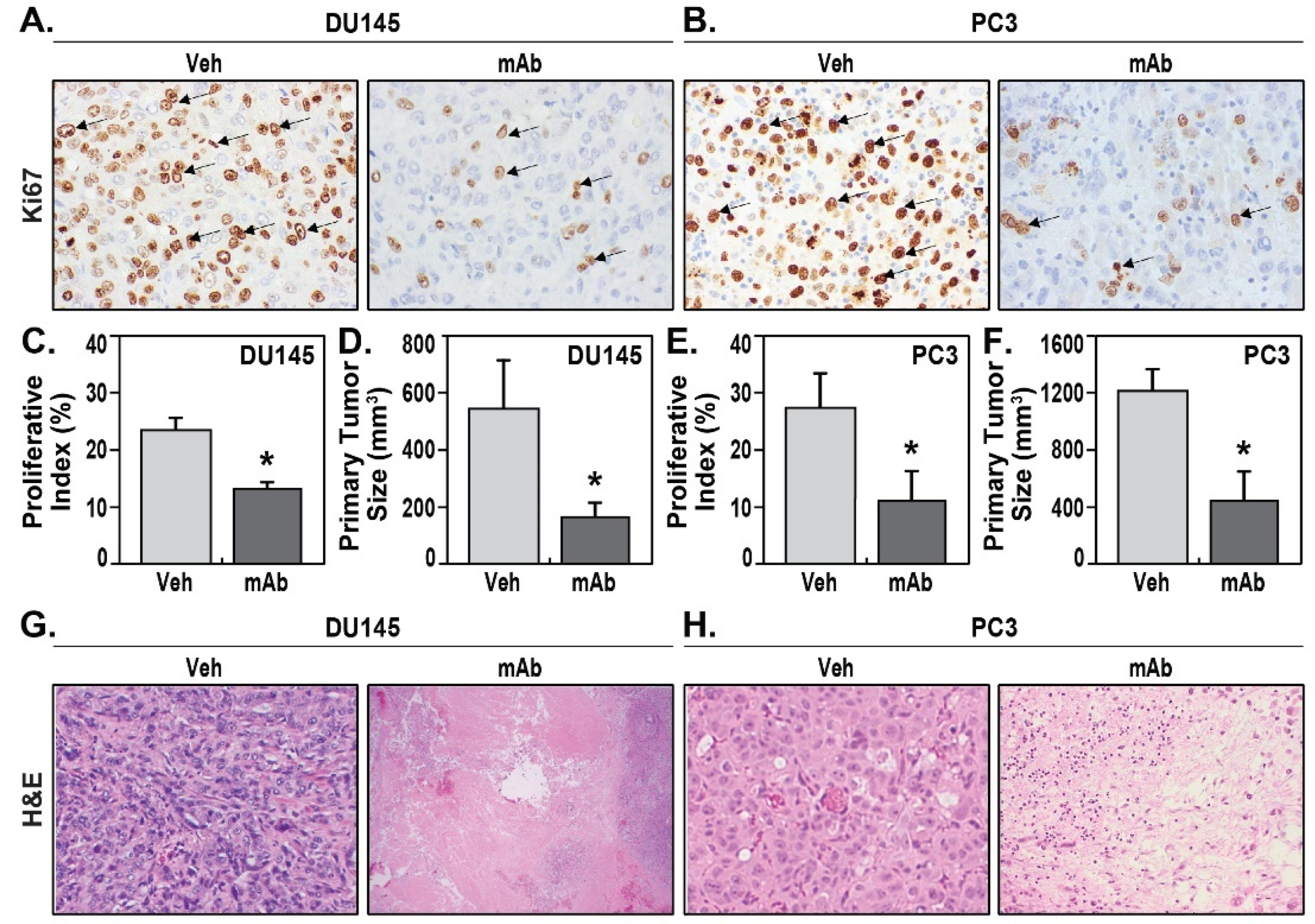 Pharmaceuticals 14 01322 g002