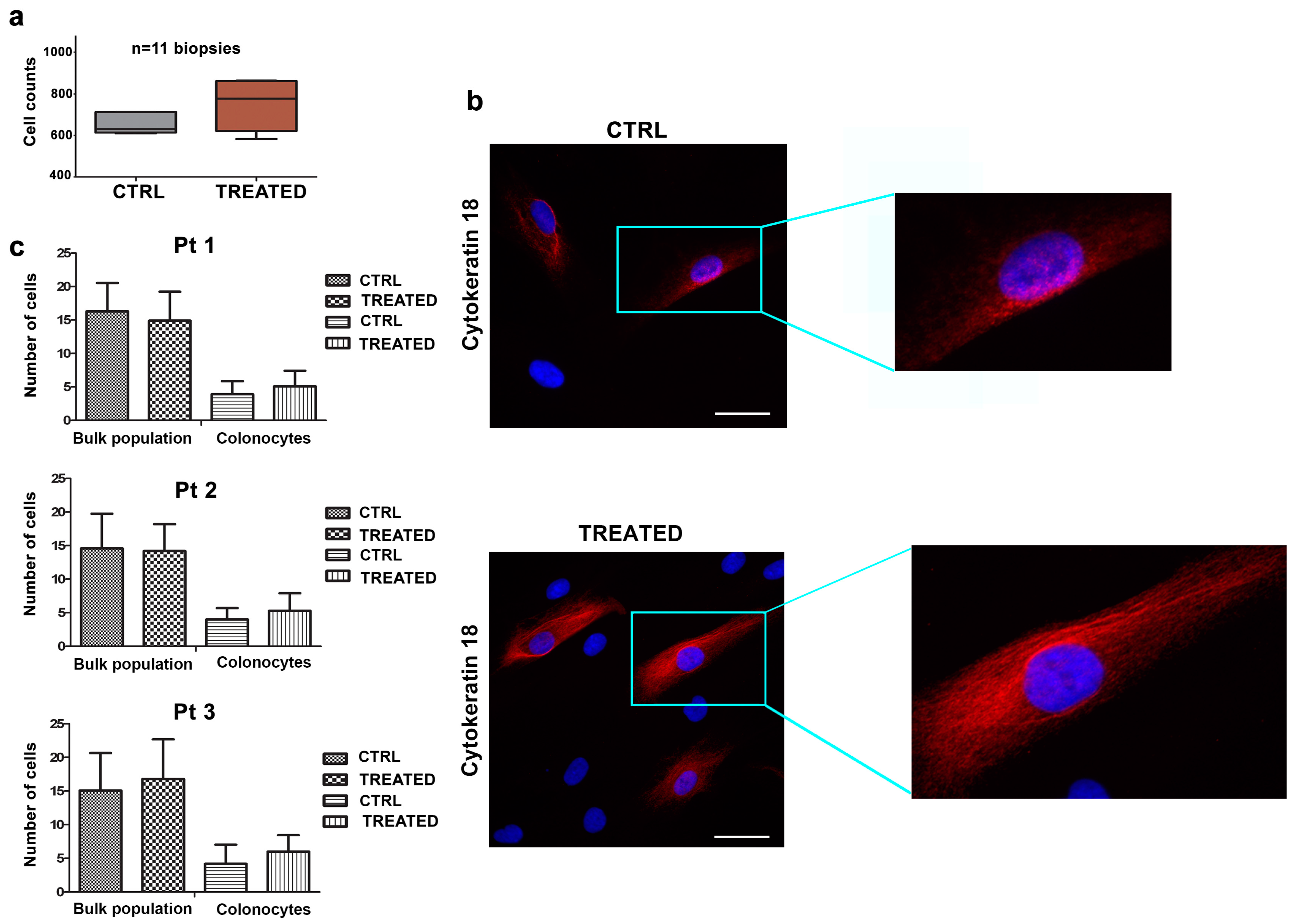 Pharmaceuticals 14 01325 g002