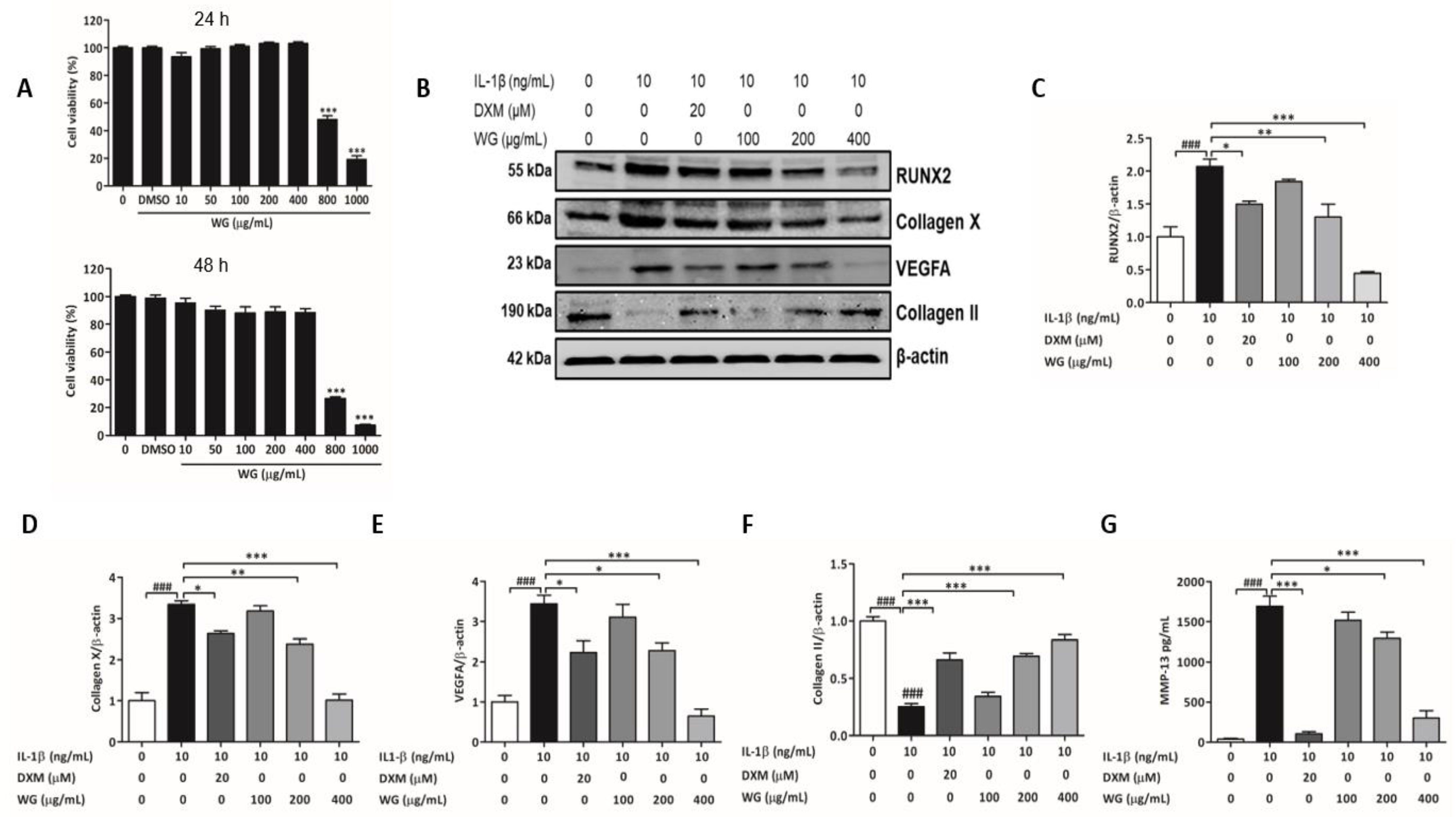 Pharmaceuticals 14 01337 g002