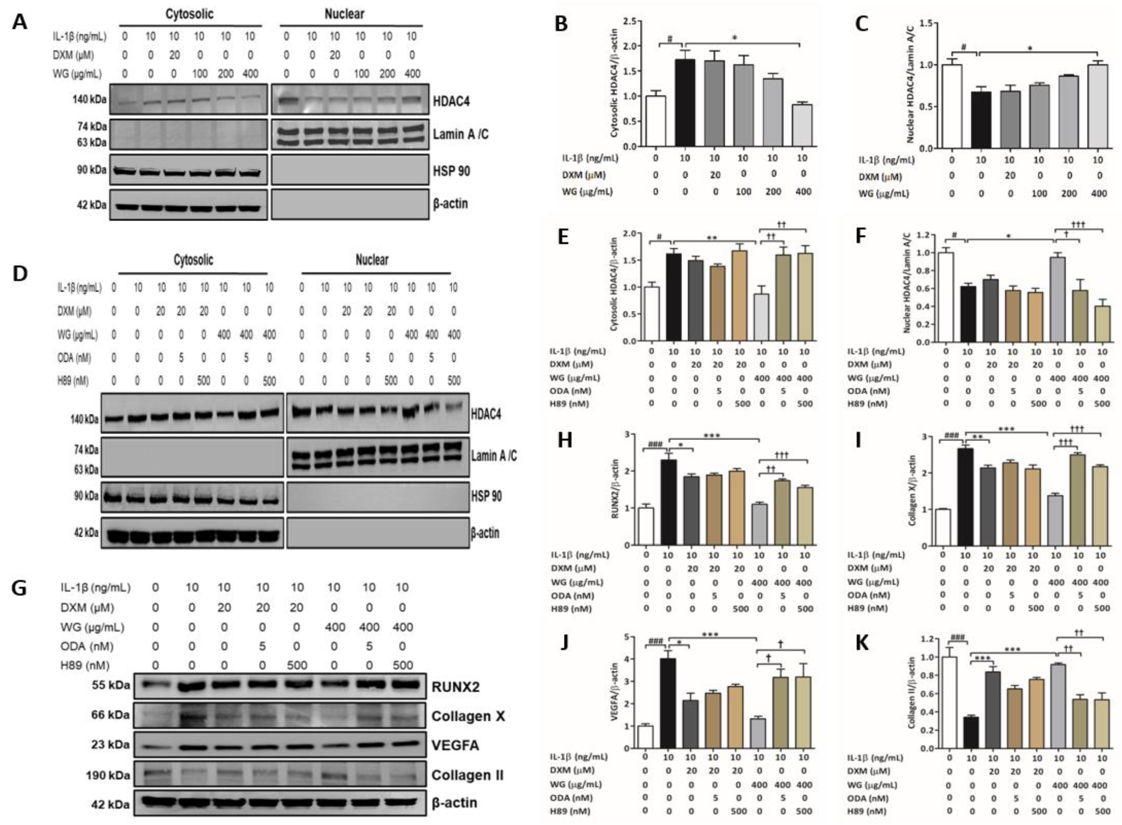 Pharmaceuticals 14 01337 g003