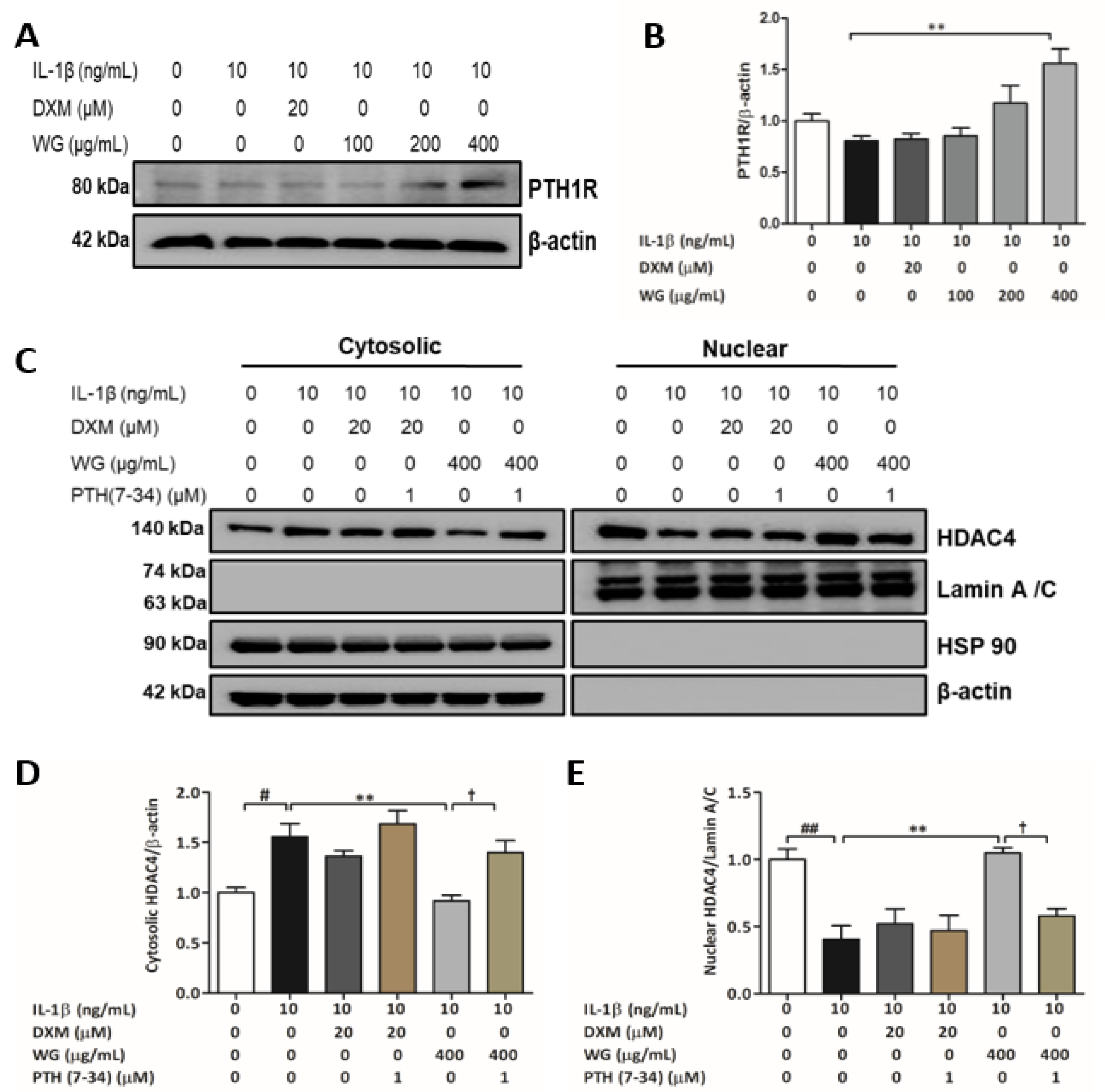 Pharmaceuticals 14 01337 g004