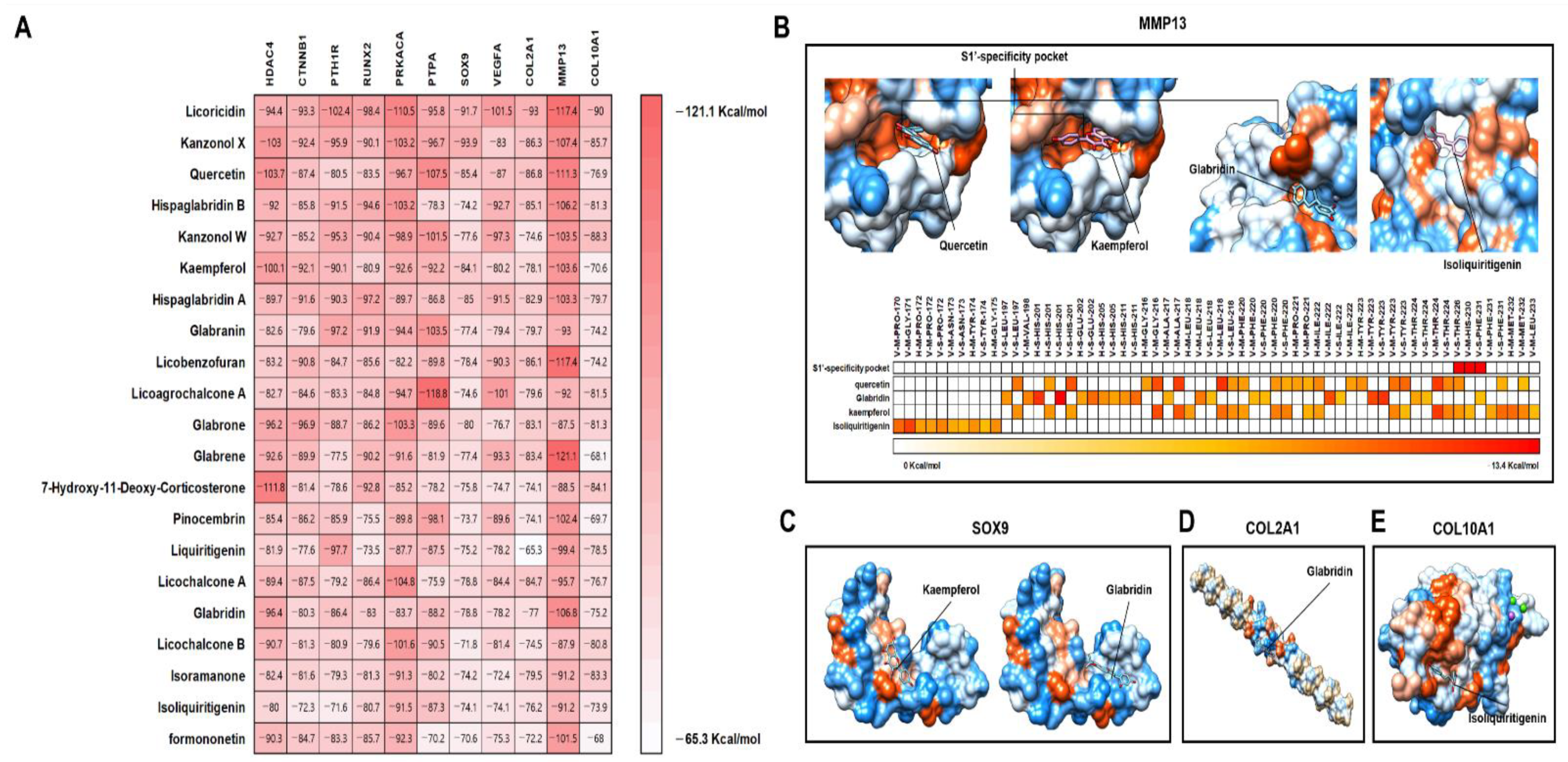 Pharmaceuticals 14 01337 g008
