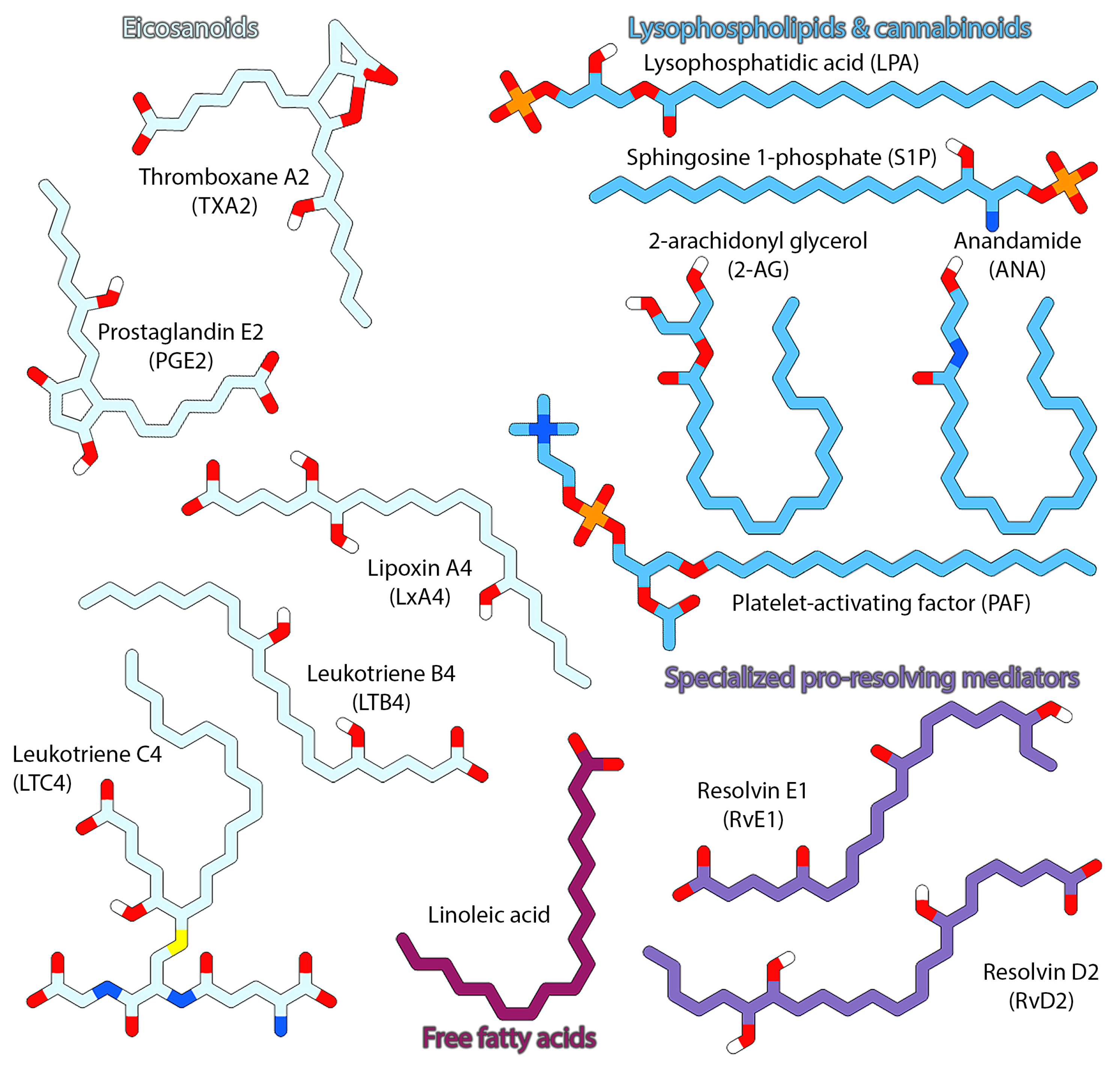 Pharmaceuticals 15 00012 g001