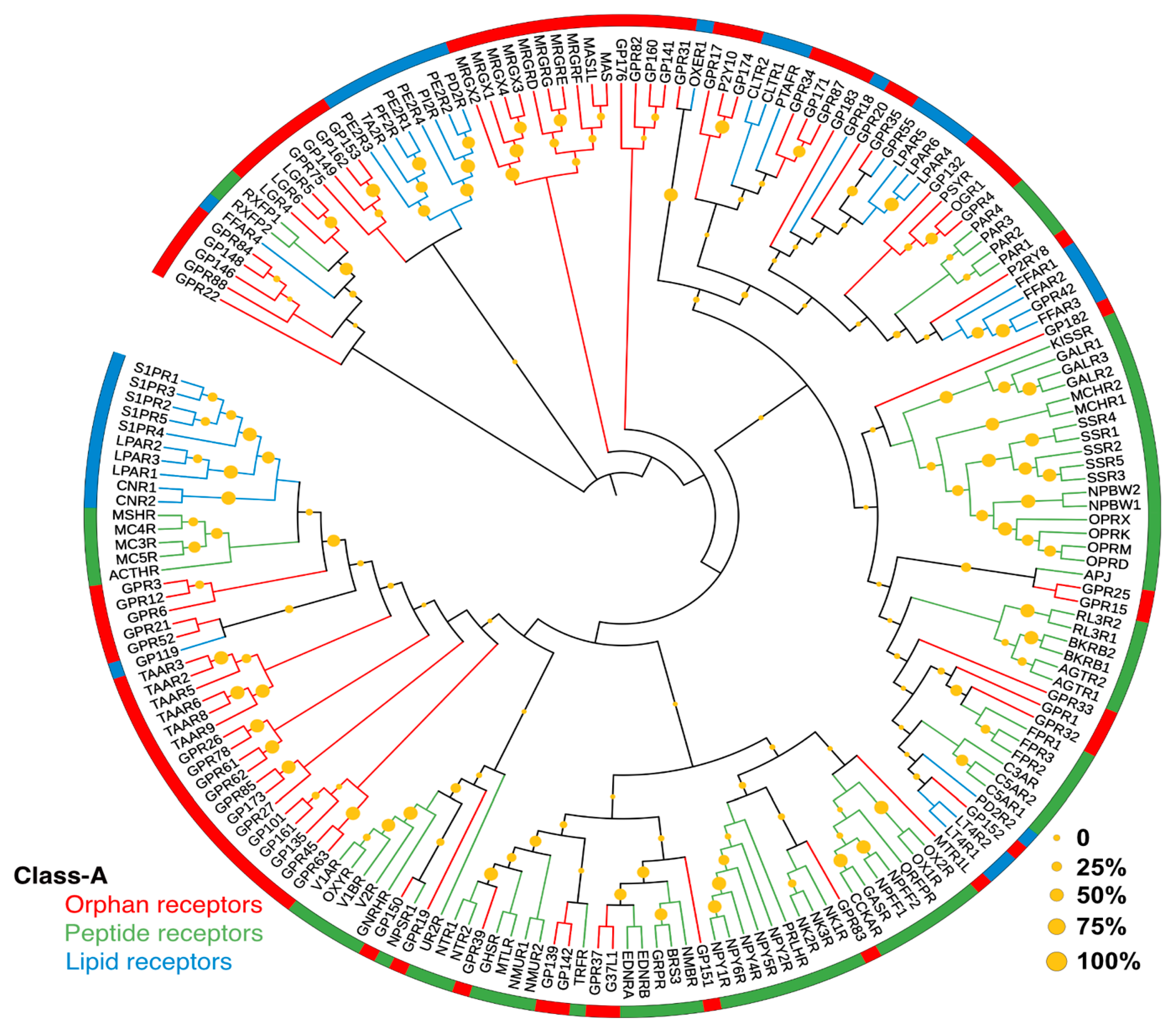 Pharmaceuticals 15 00012 g002