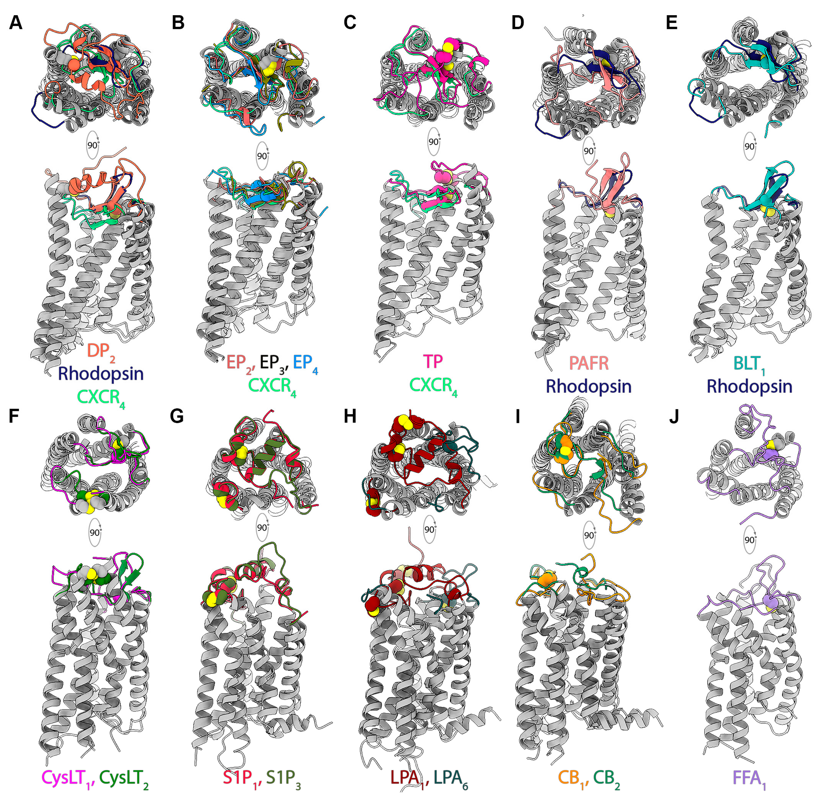 Pharmaceuticals 15 00012 g003