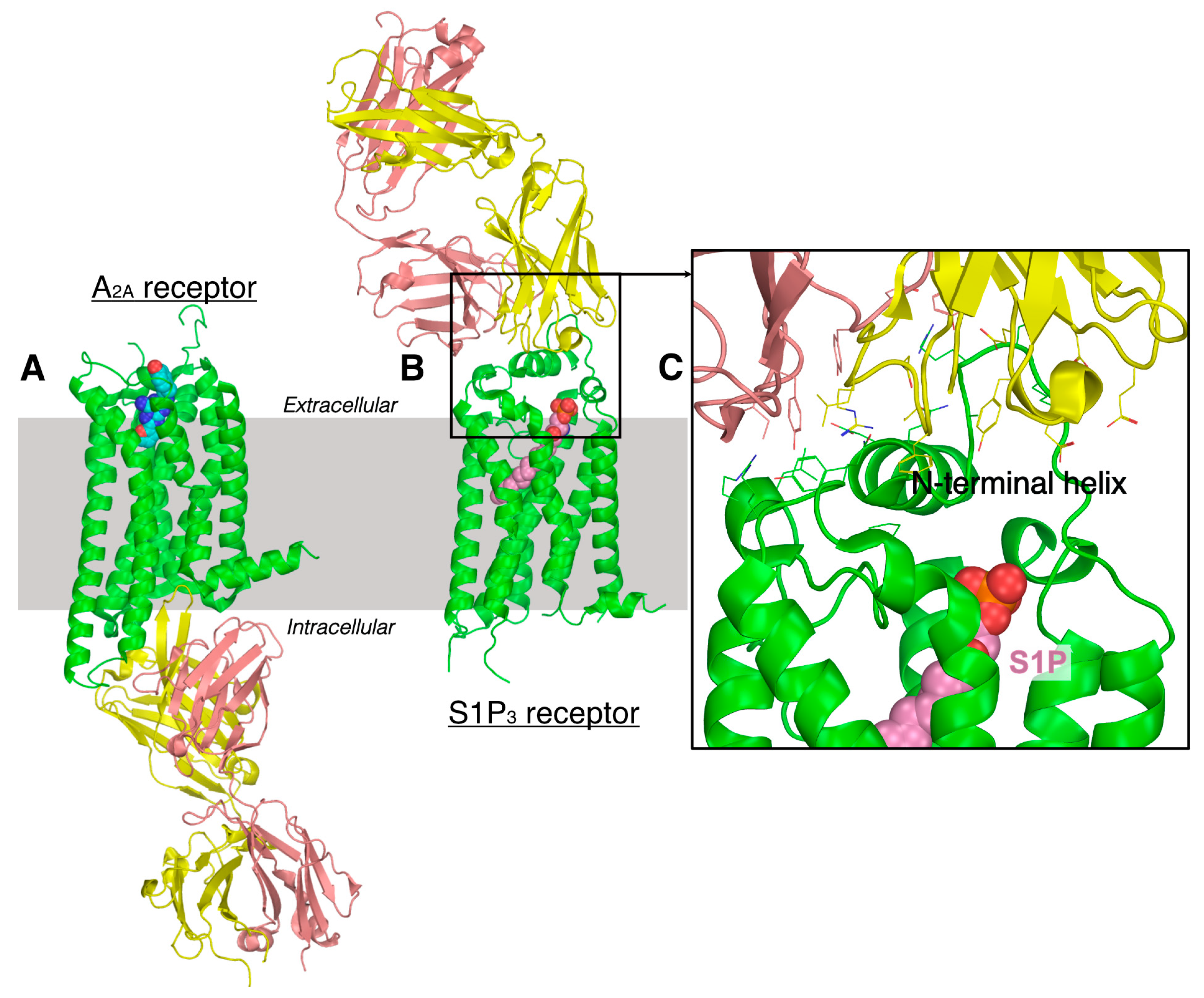 Pharmaceuticals 15 00012 g005