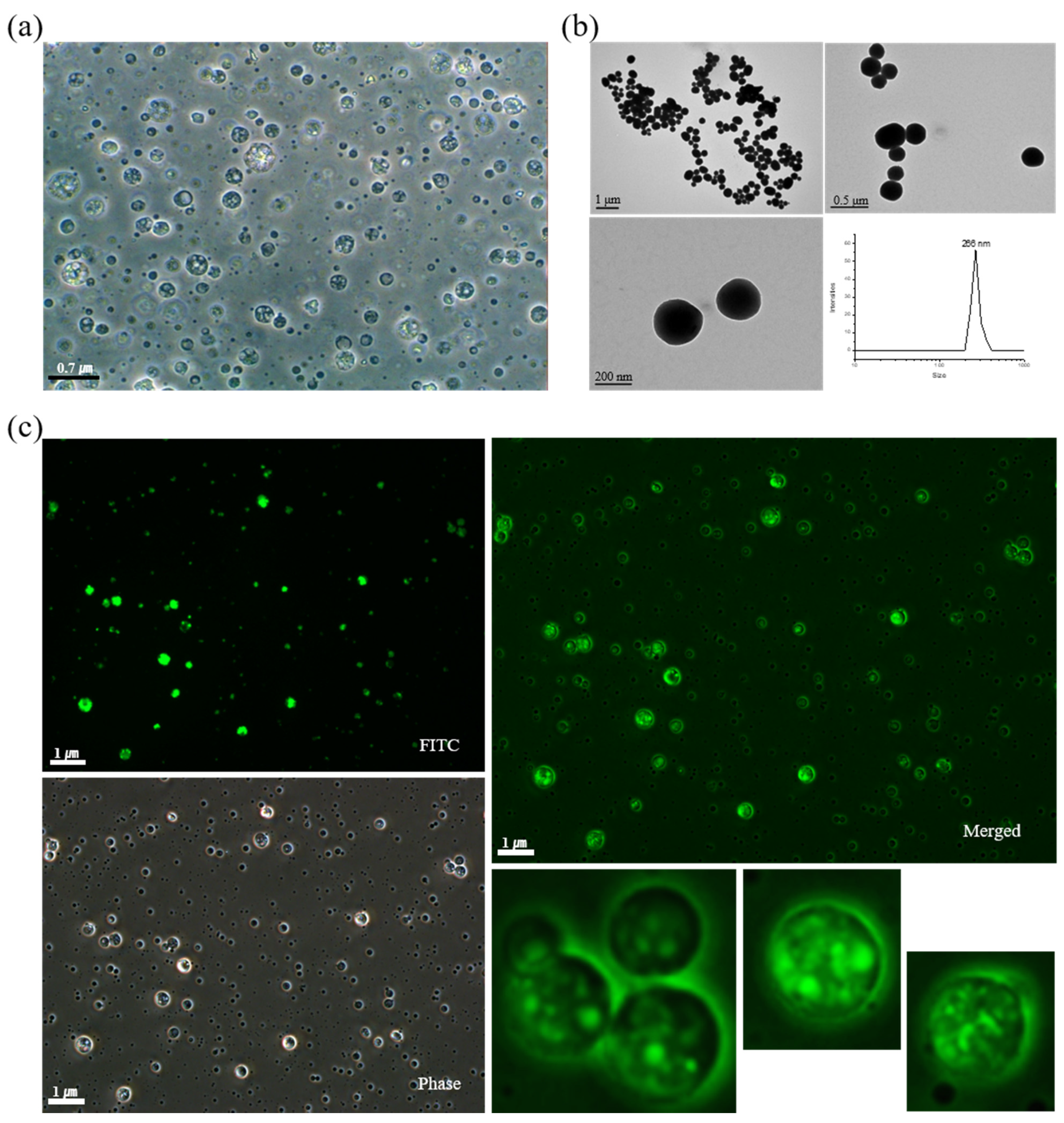 Pharmaceuticals 15 00017 g002