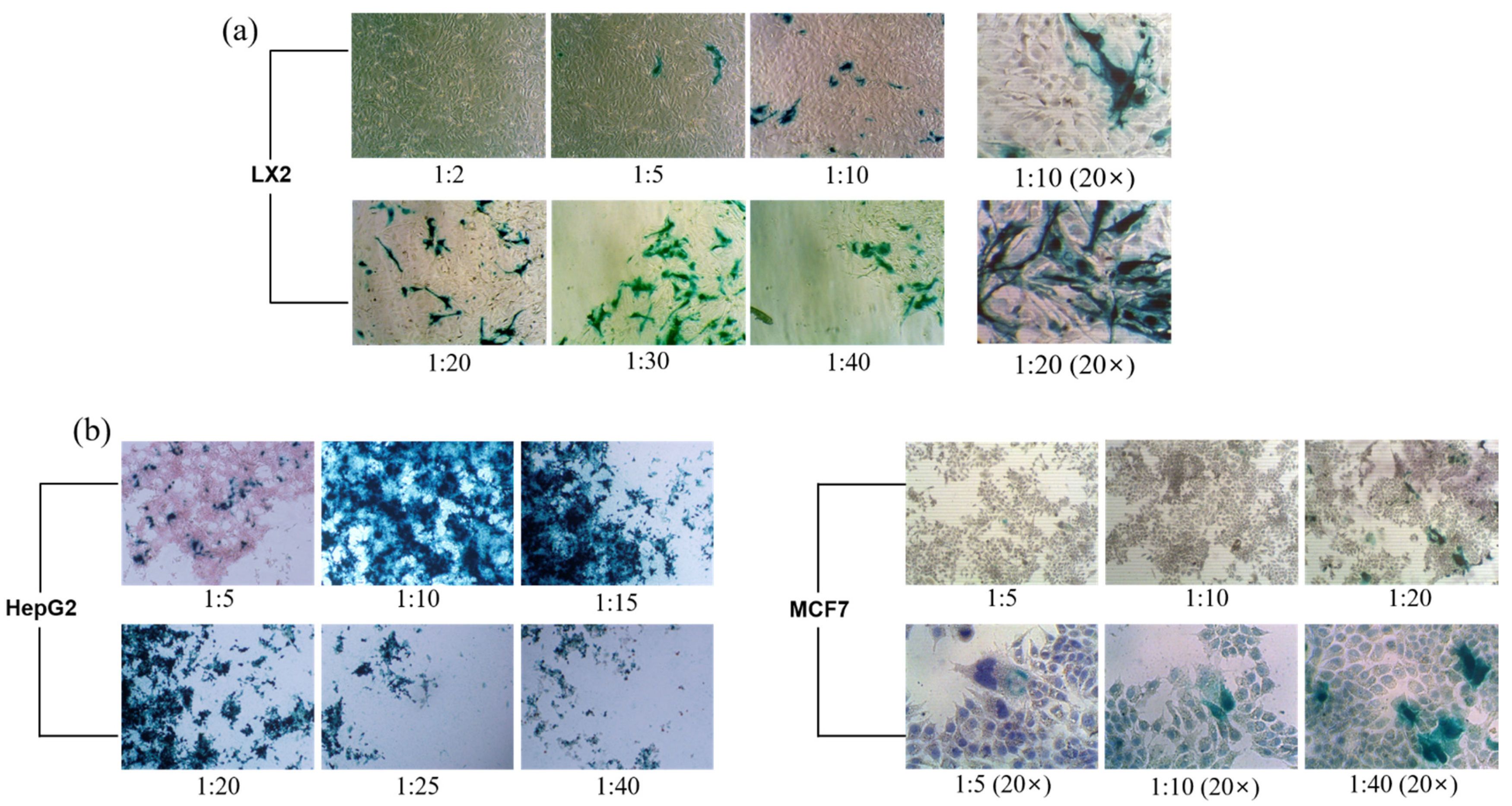Pharmaceuticals 15 00017 g005