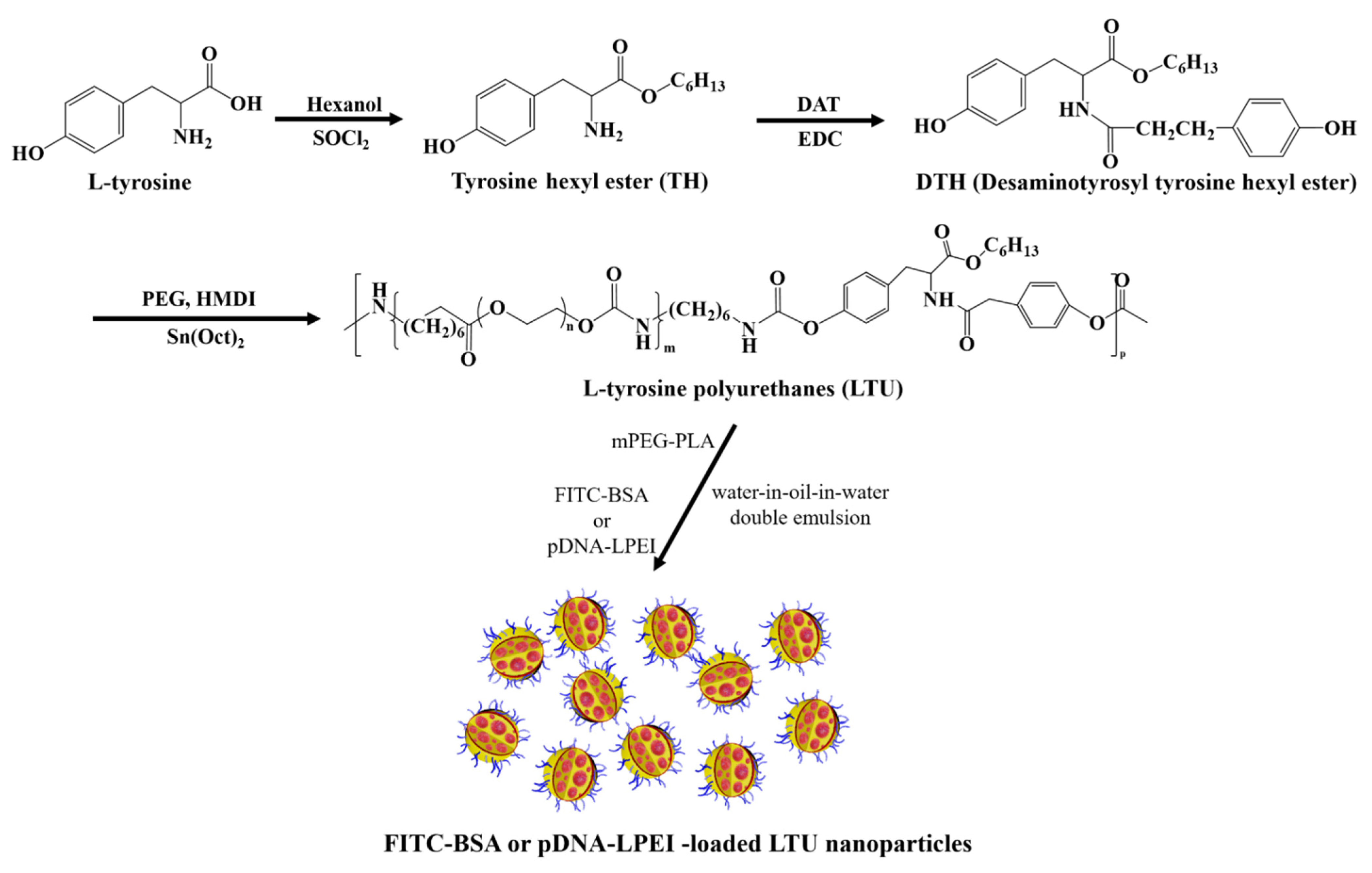 Pharmaceuticals 15 00017 g007