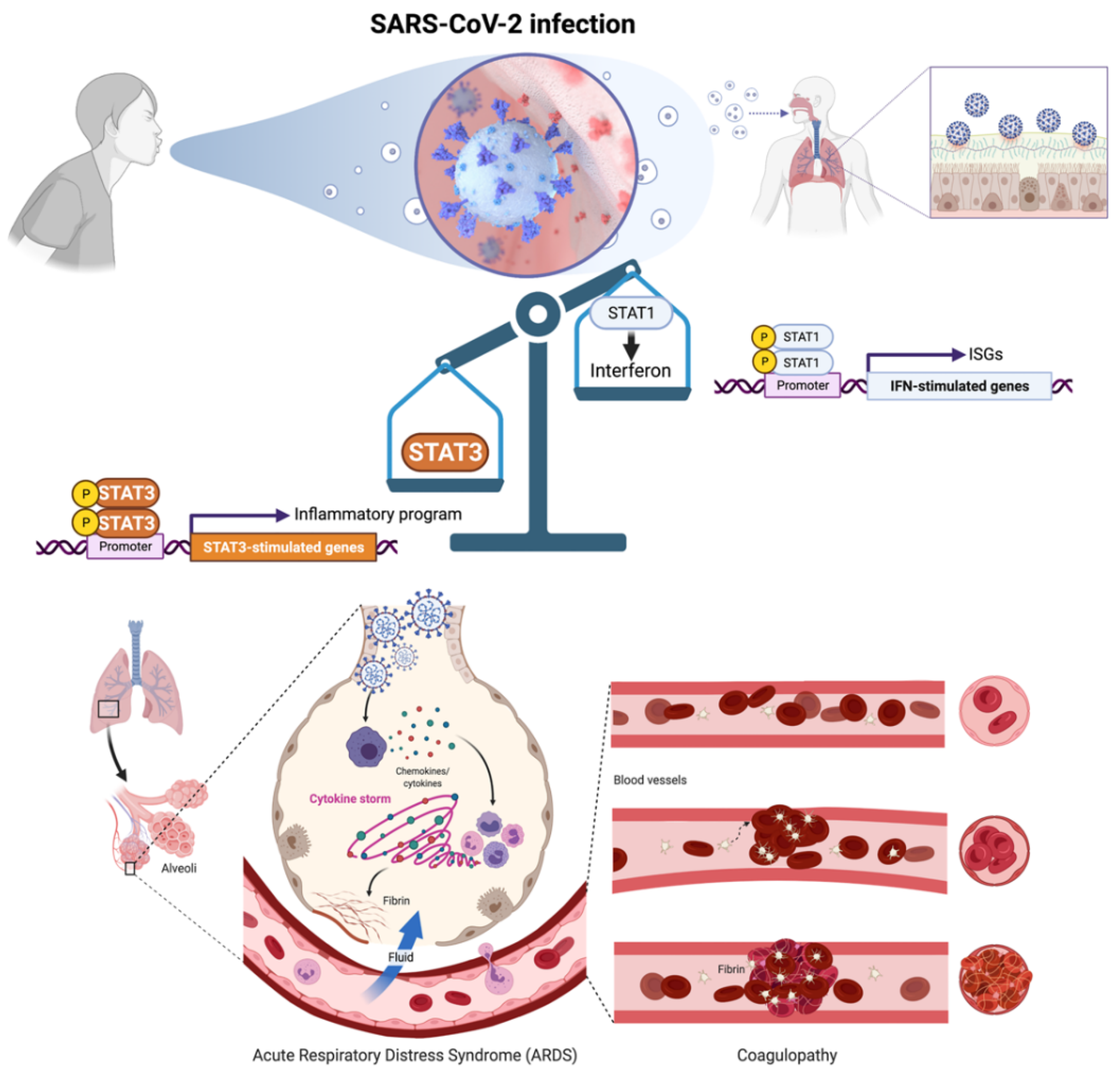Pharmaceuticals 15 00019 g001
