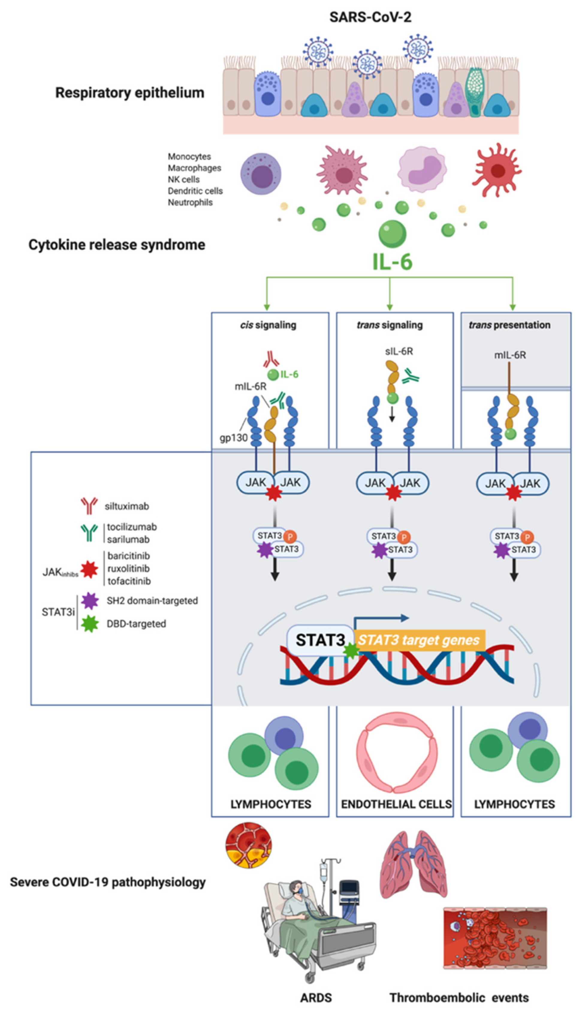 Pharmaceuticals 15 00019 g002