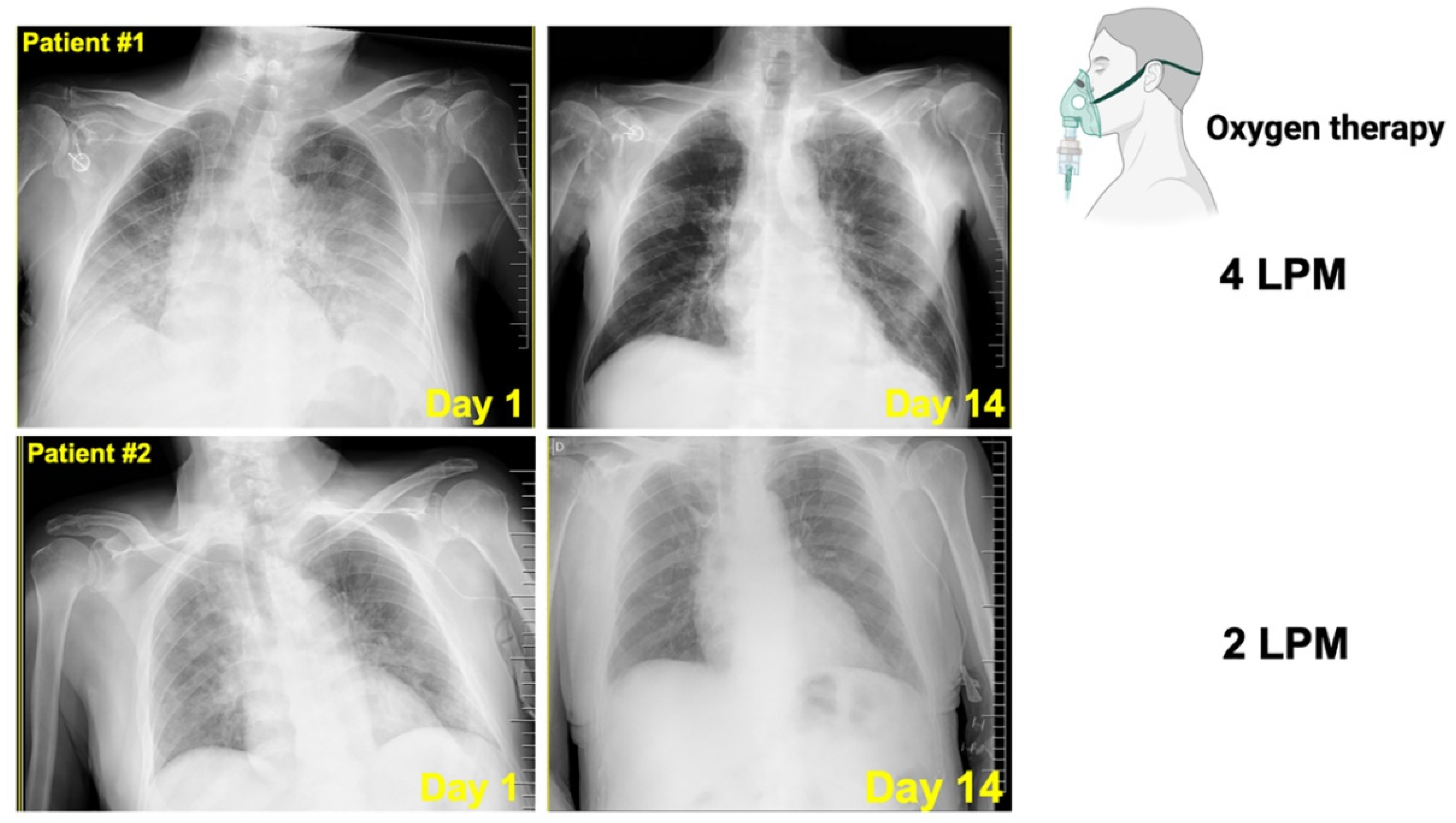 Pharmaceuticals 15 00019 g006