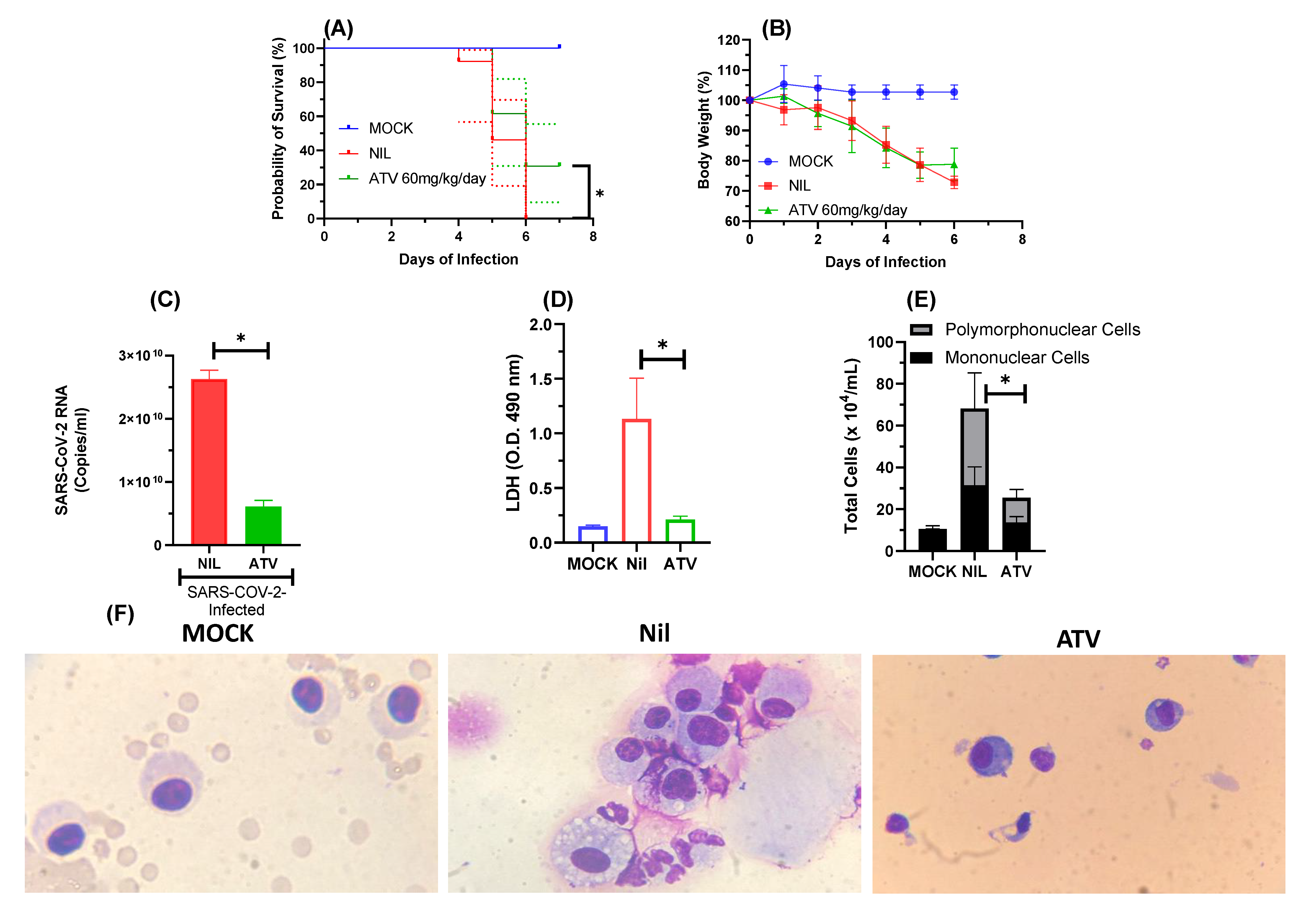 Pharmaceuticals 15 00021 g004
