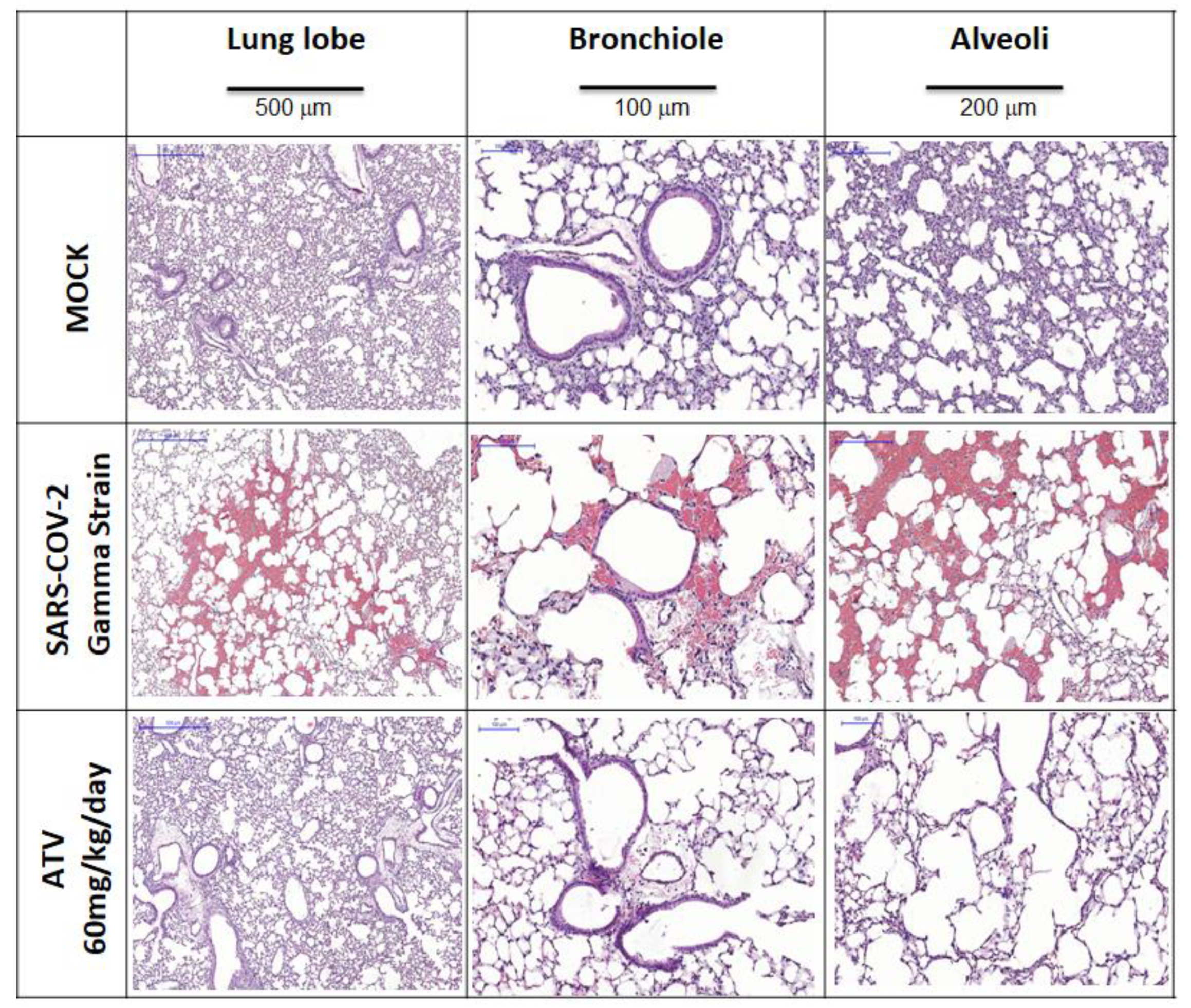 Pharmaceuticals 15 00021 g006