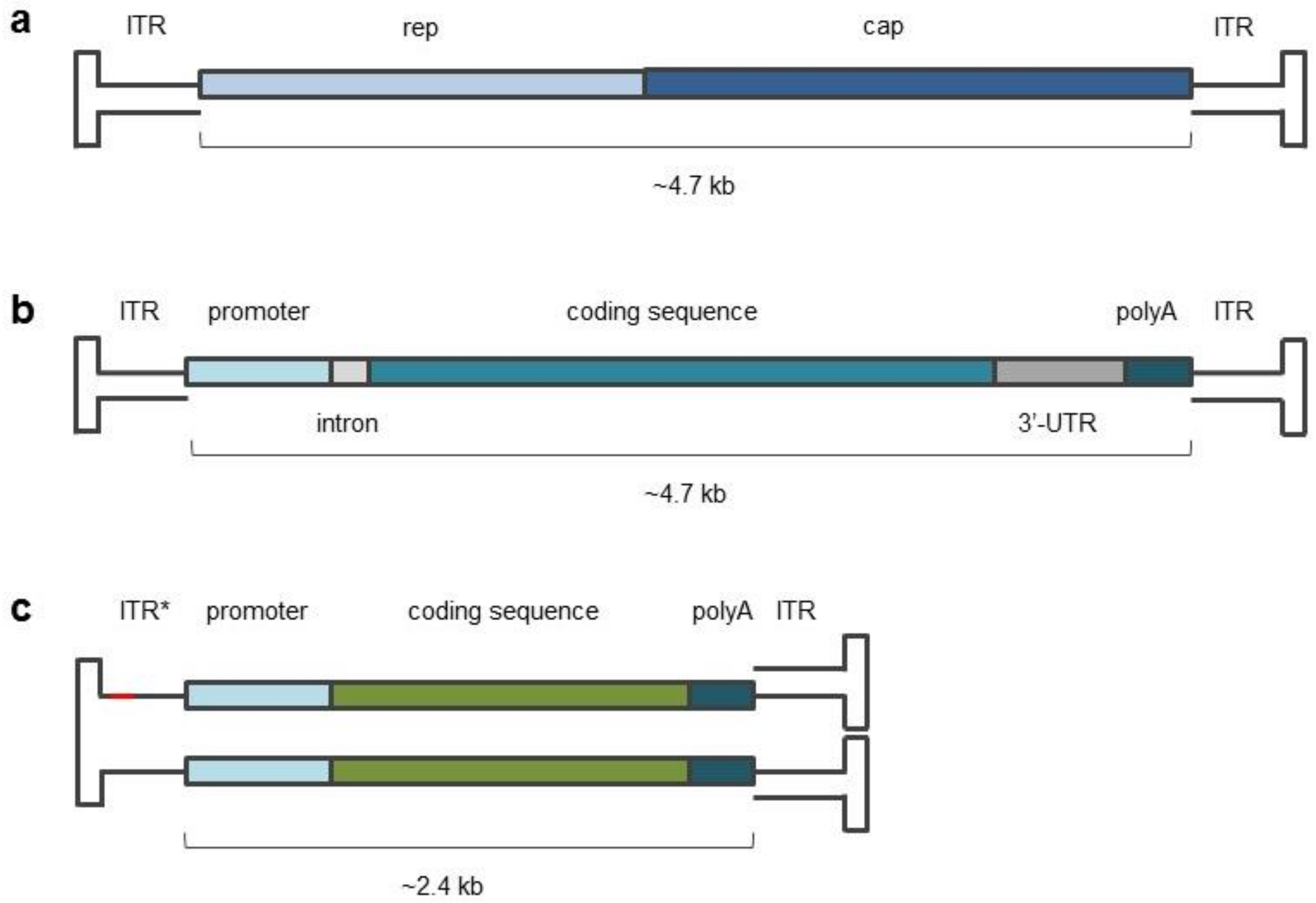Pharmaceuticals 15 00023 g001