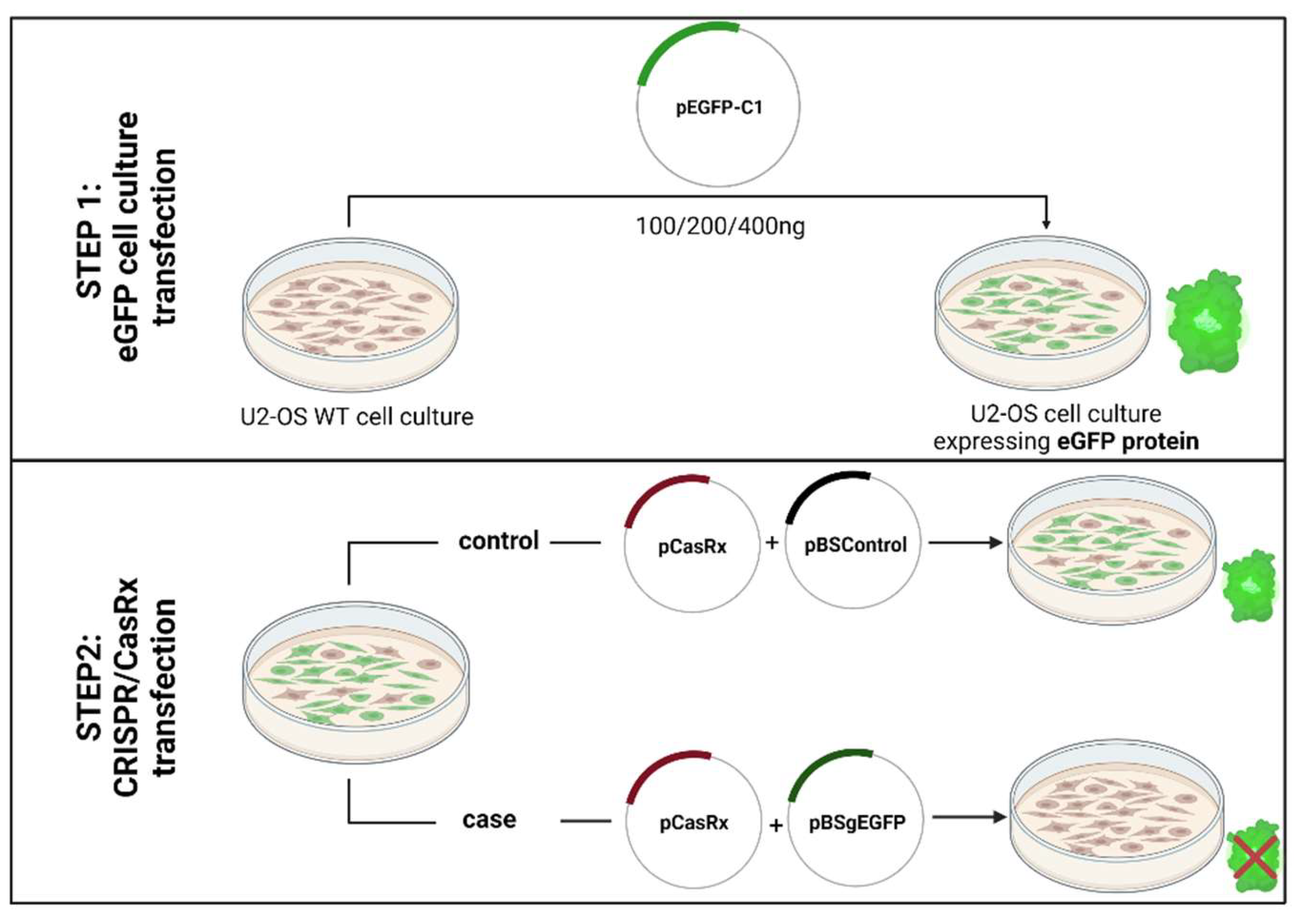 Pharmaceuticals 15 00032 g001