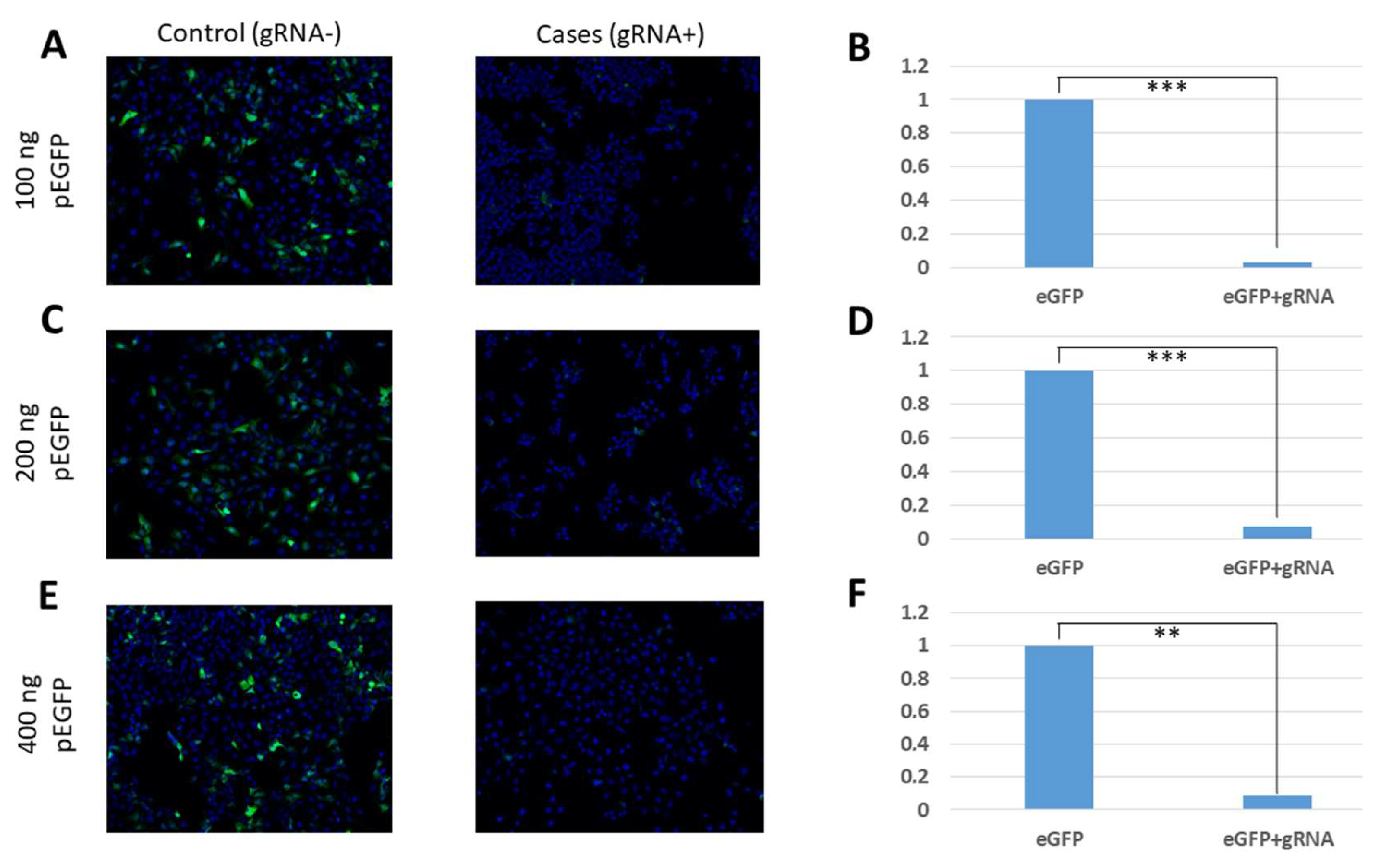 Pharmaceuticals 15 00032 g002