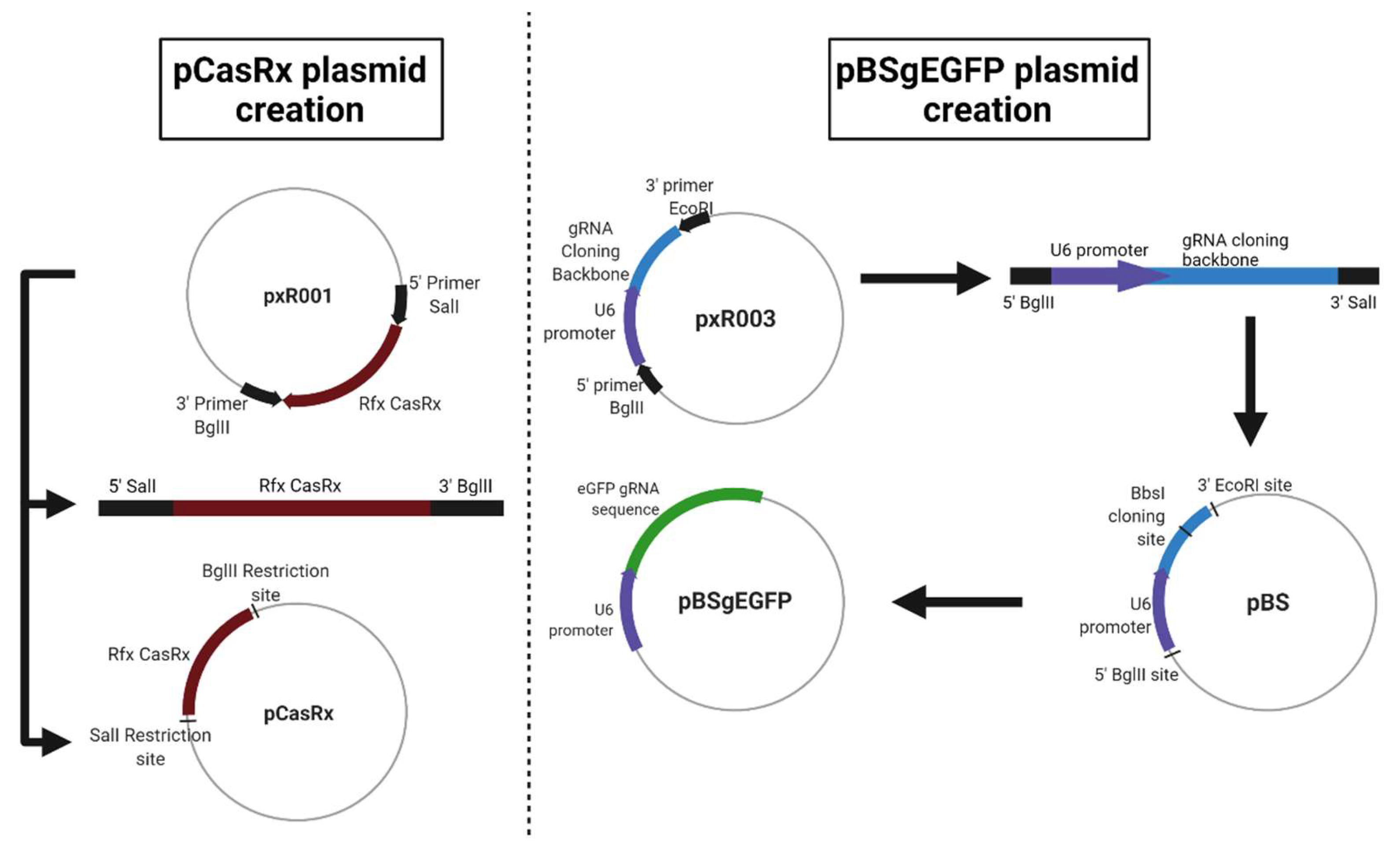 Pharmaceuticals 15 00032 g005