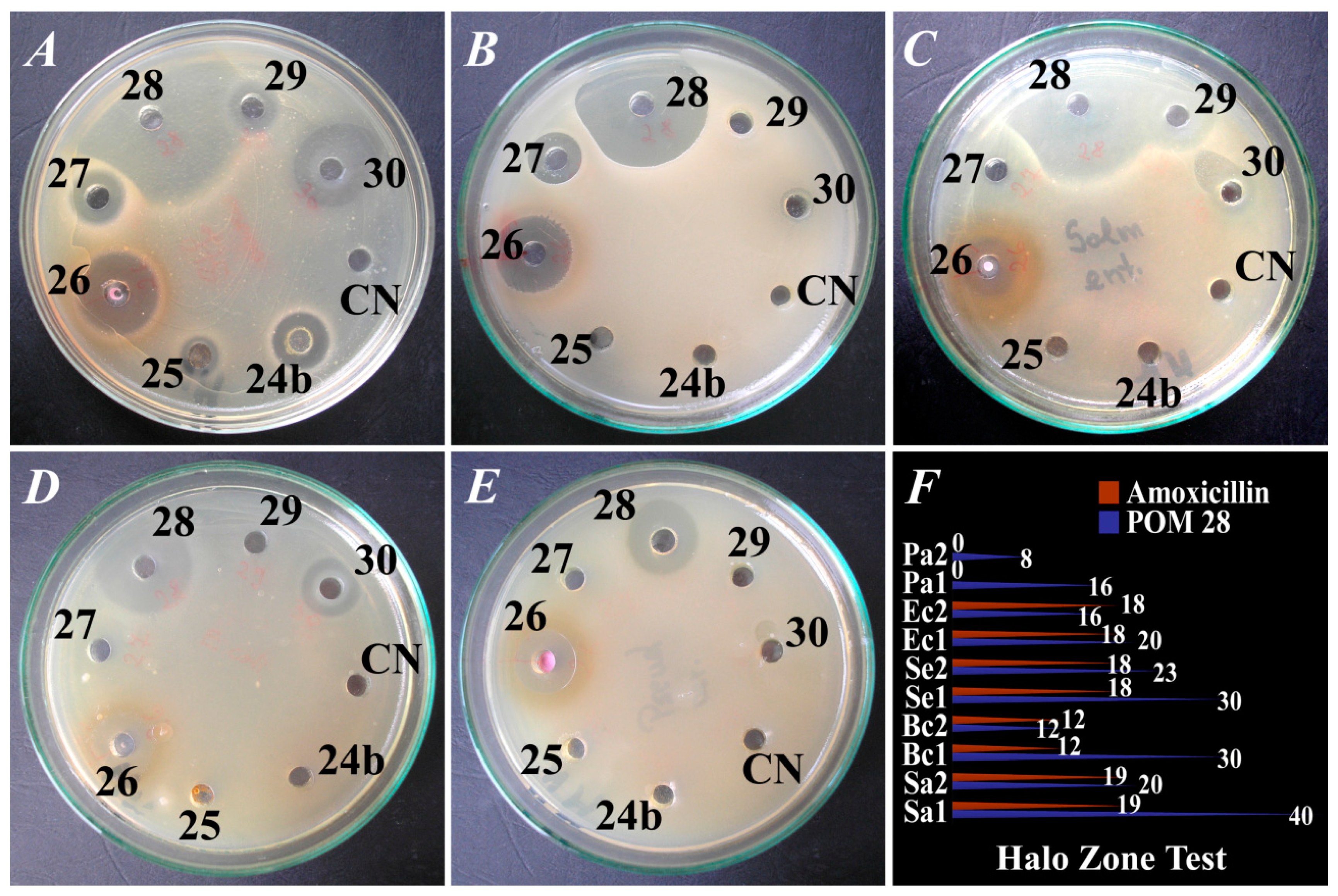 Pharmaceuticals 15 00033 g001 Pharmaceuticals 15 00033 g001