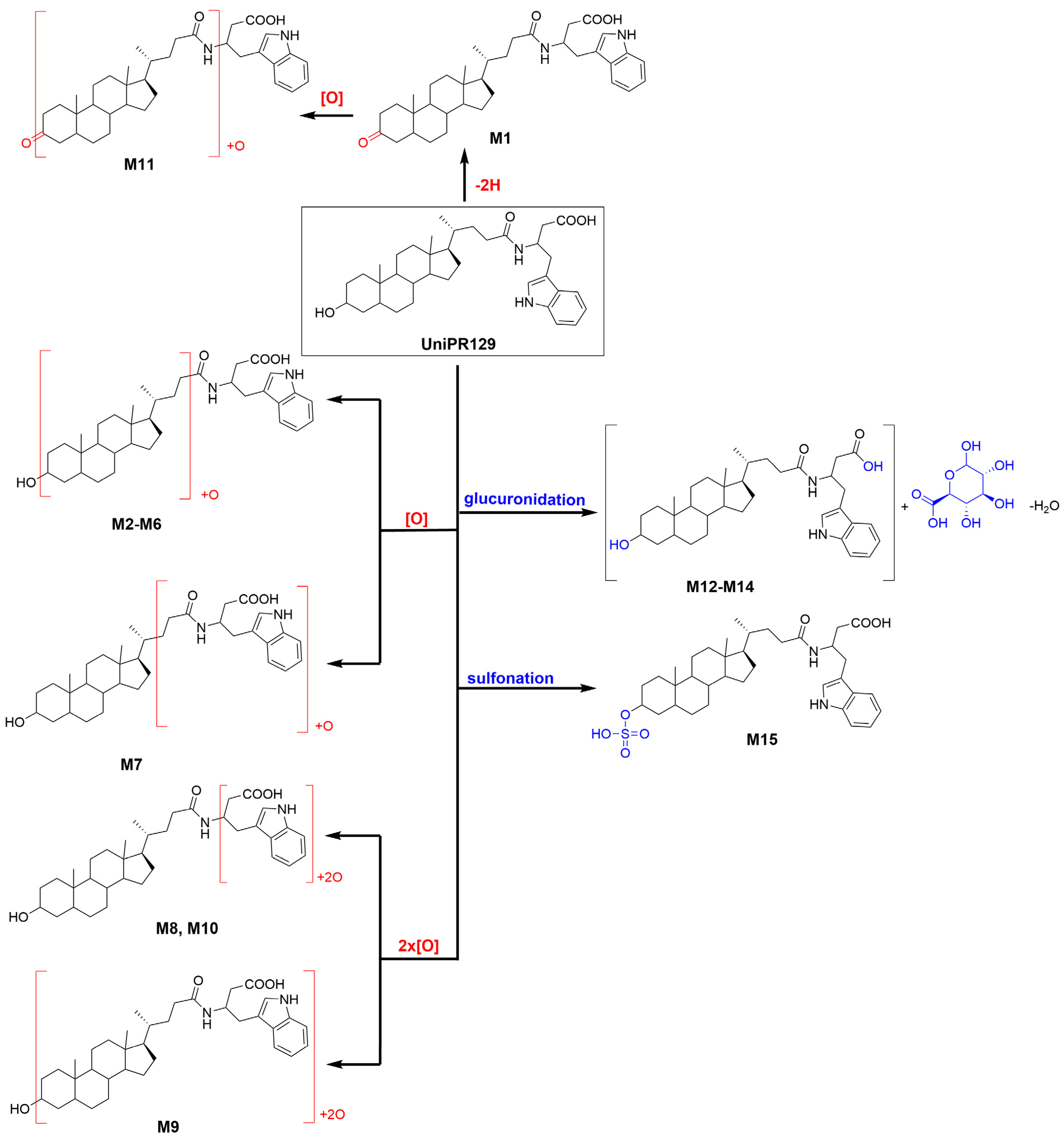 Pharmaceuticals 15 00041 g004