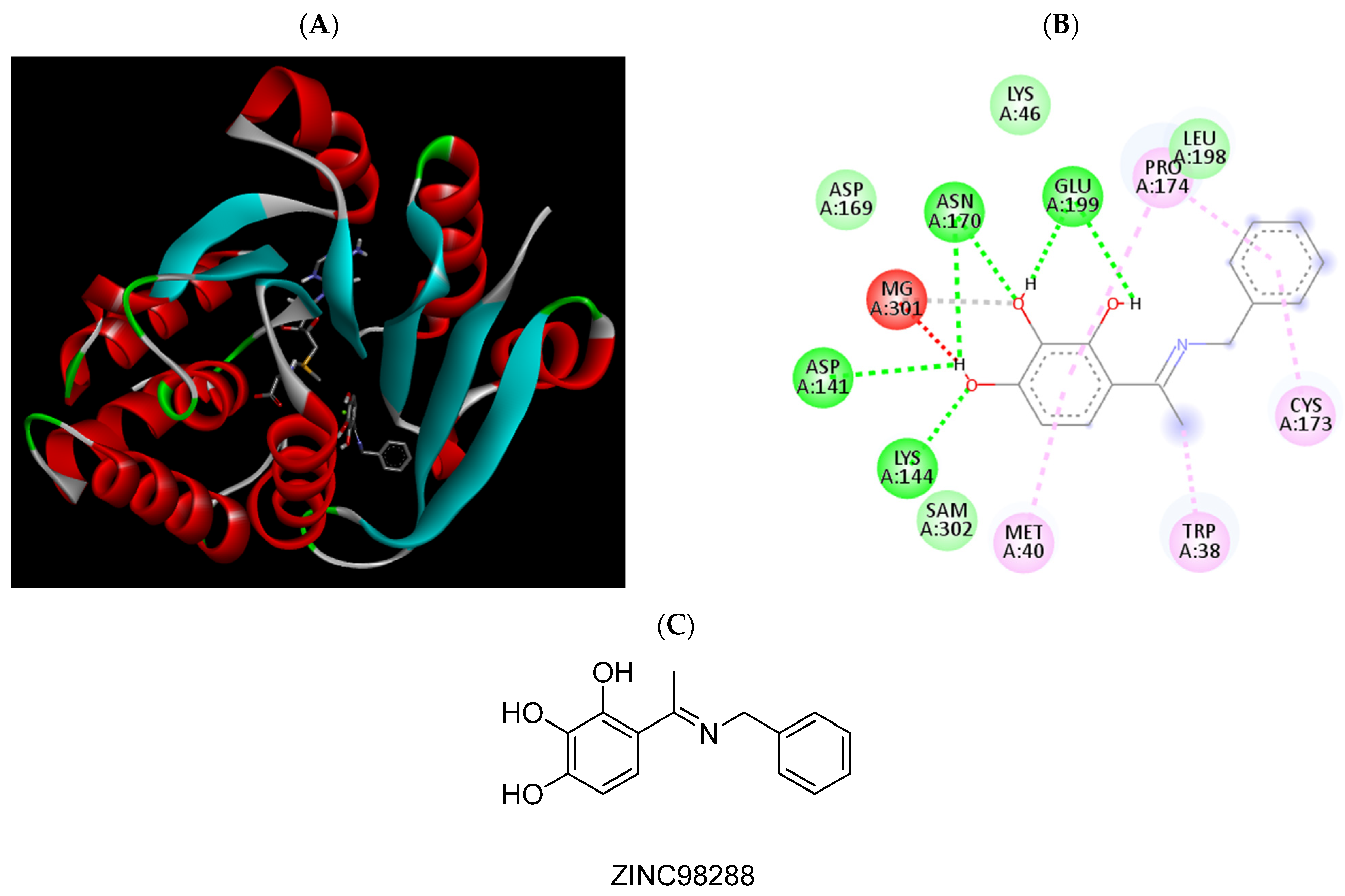 Pharmaceuticals 15 00051 g005