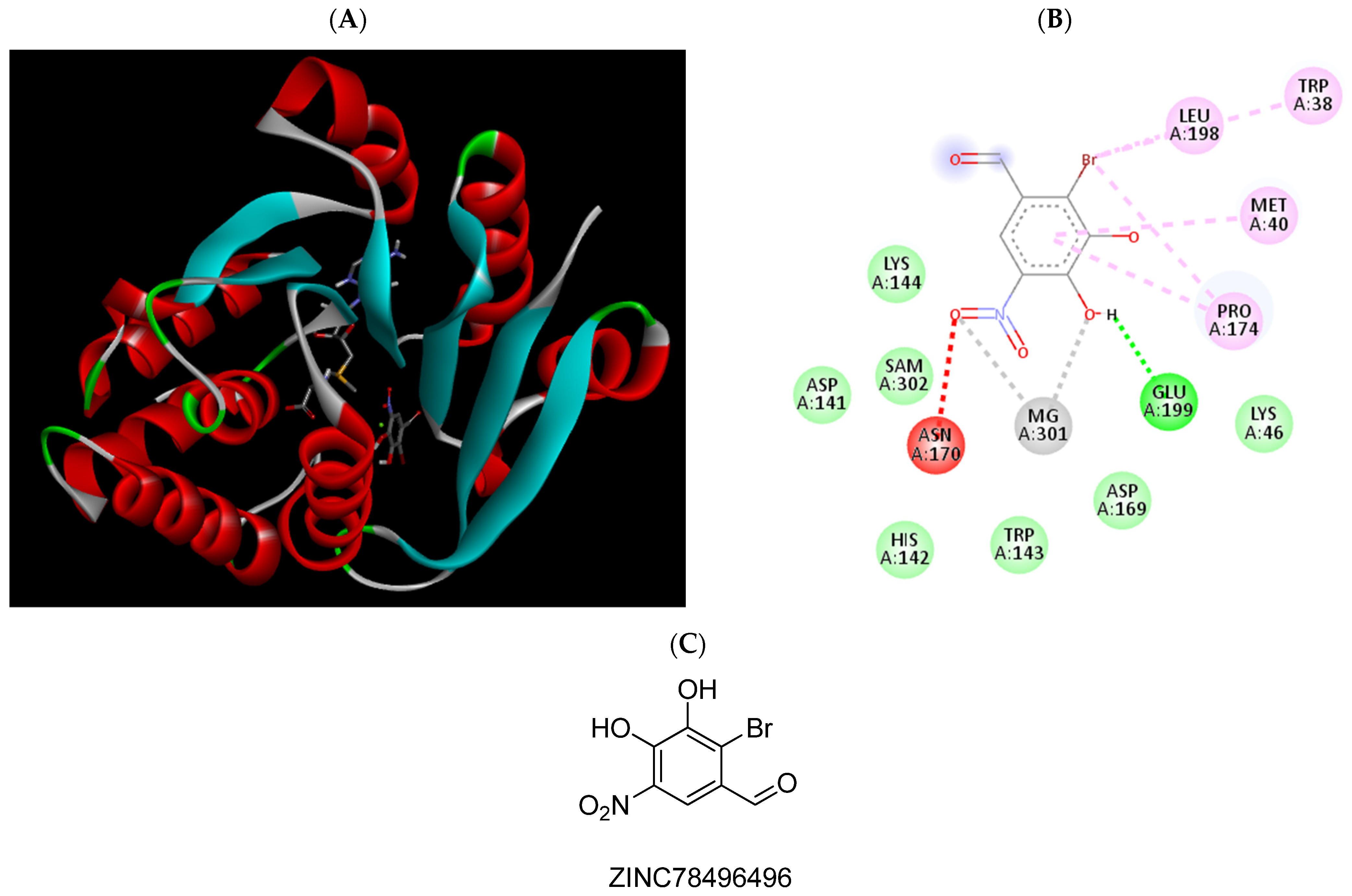 Pharmaceuticals 15 00051 g009