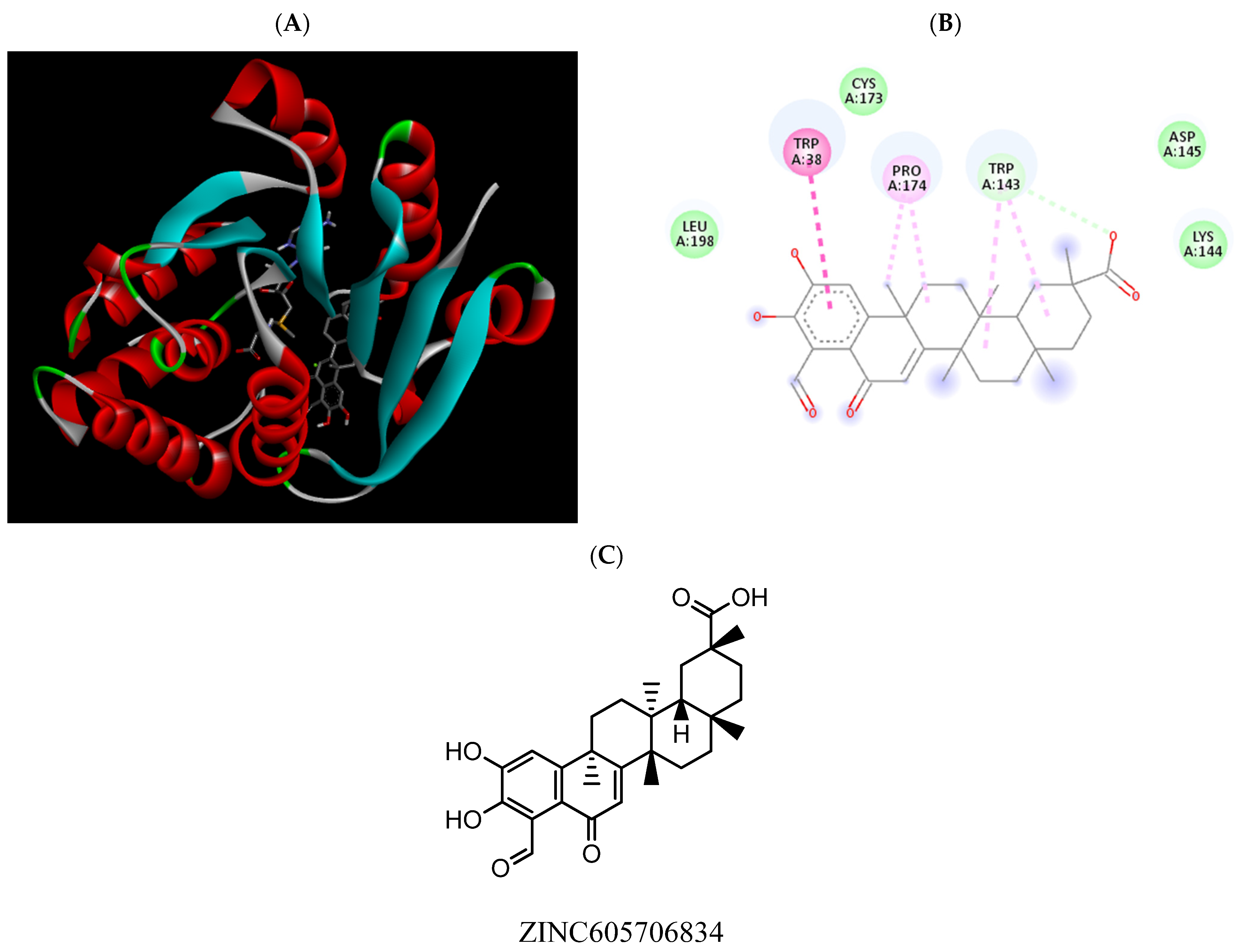 Pharmaceuticals 15 00051 g011