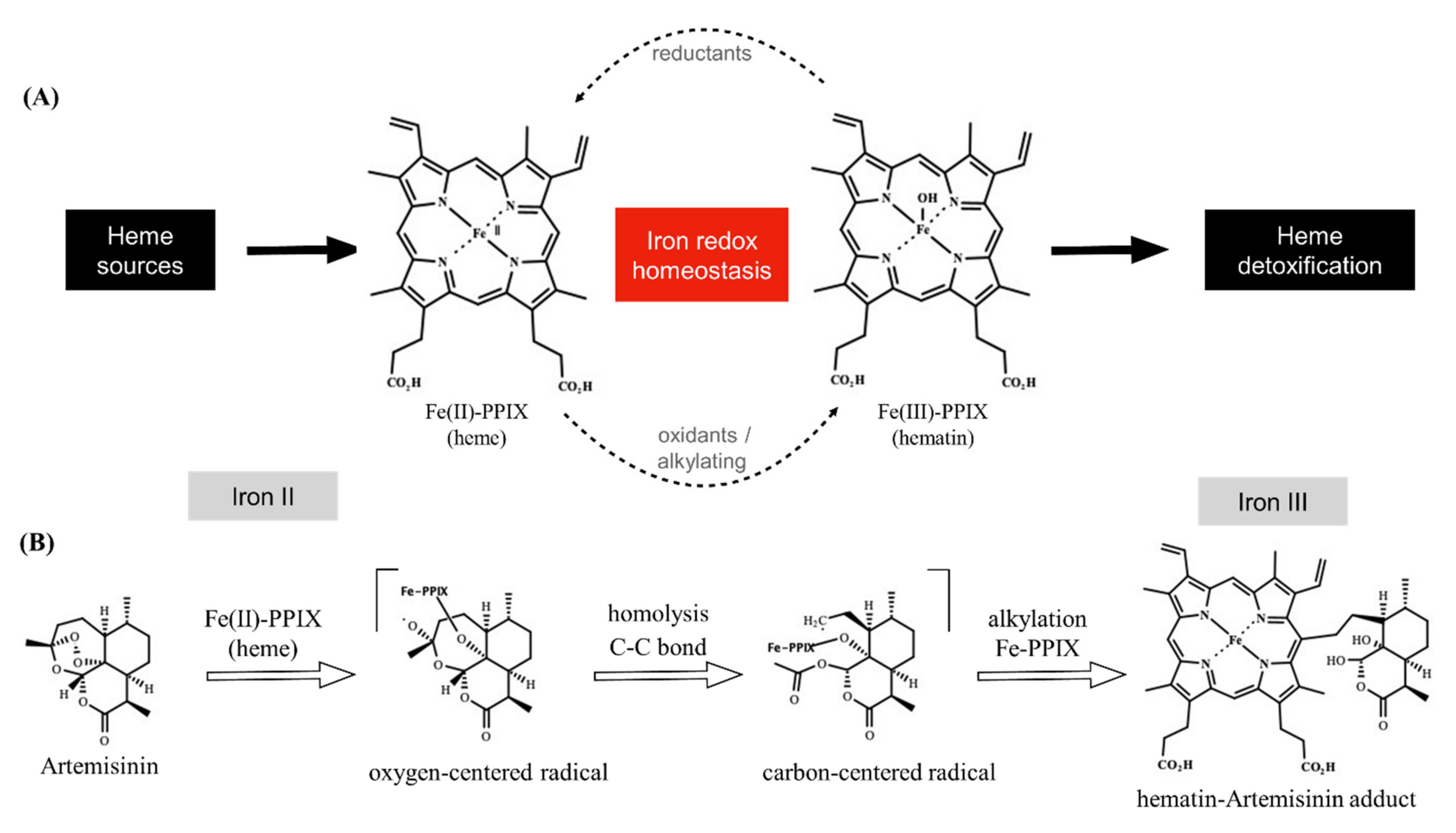 Pharmaceuticals 15 00060 g001