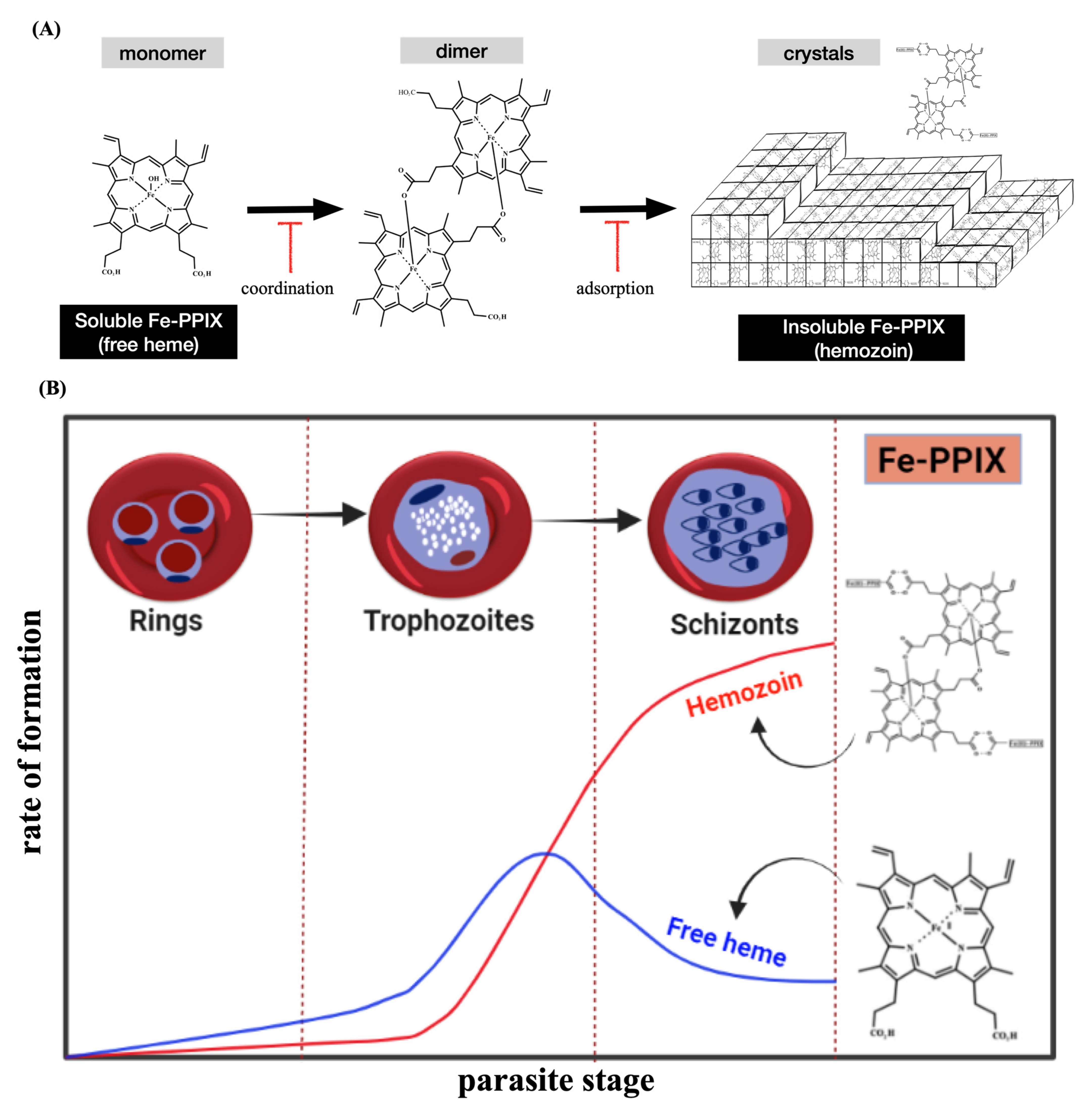 Pharmaceuticals 15 00060 g002