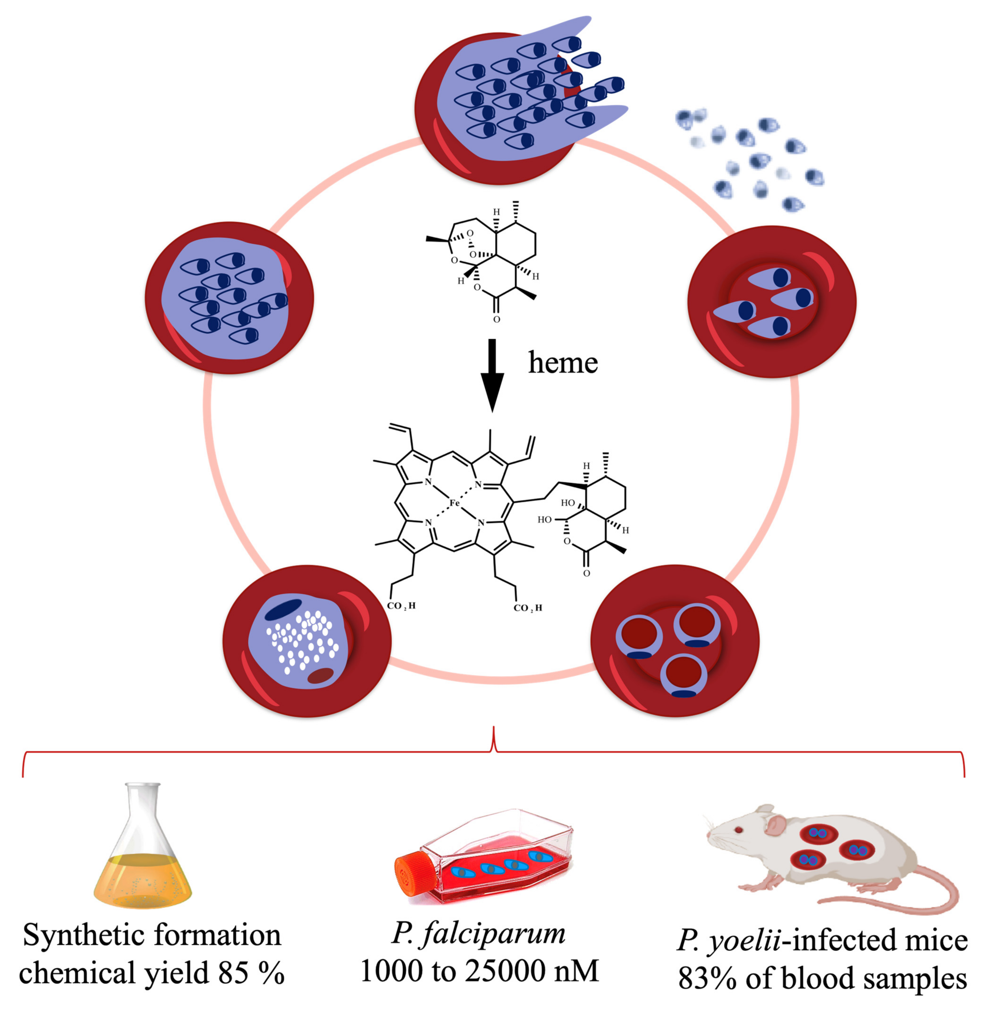 Pharmaceuticals 15 00060 g003